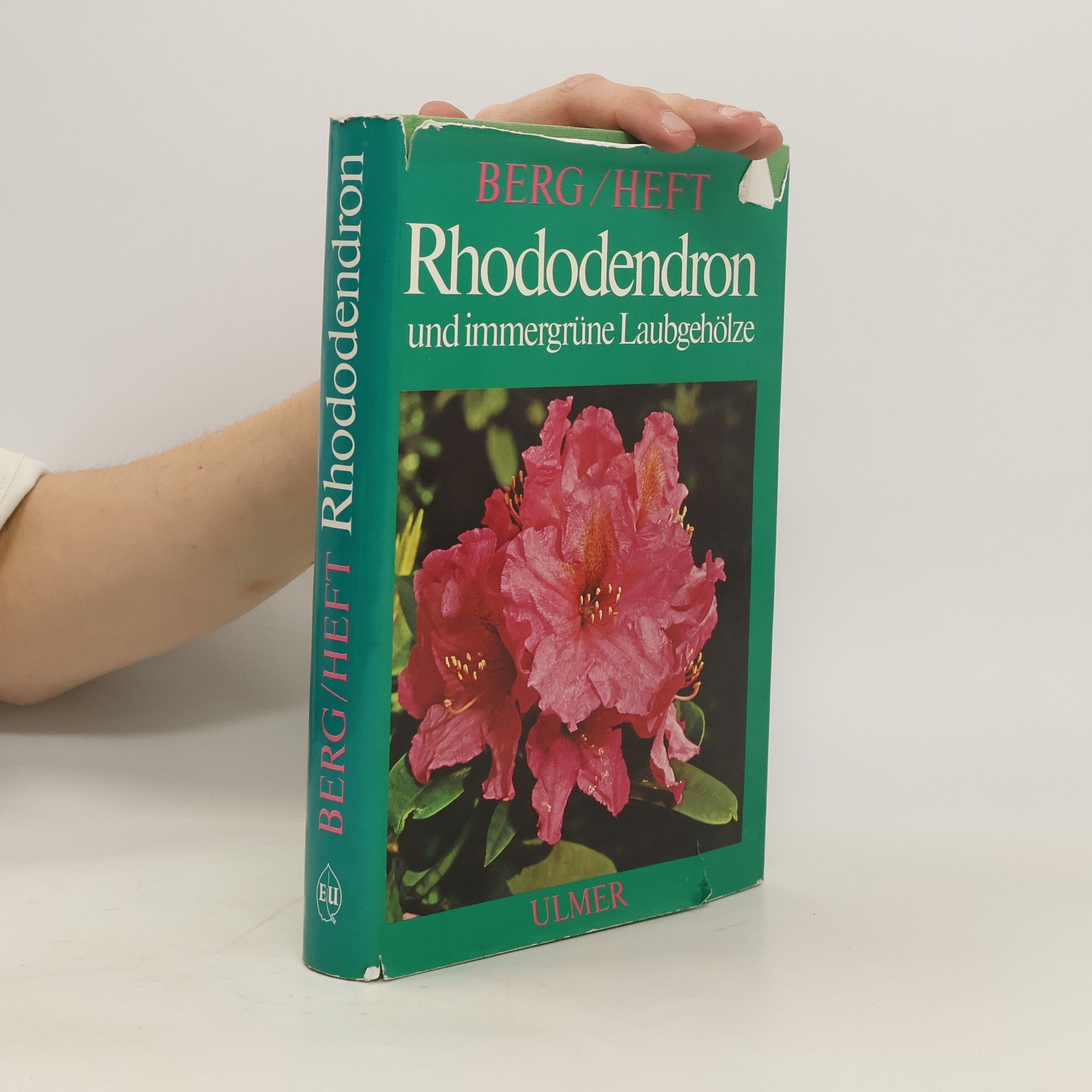 Johann Berg Rhododendron und immergrüne Laubgehölze