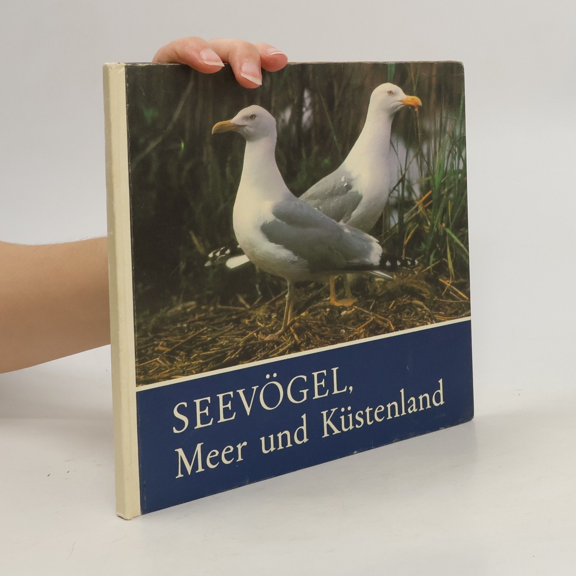 Collectif d'auteurs Seevögel, Meer und Küstenland