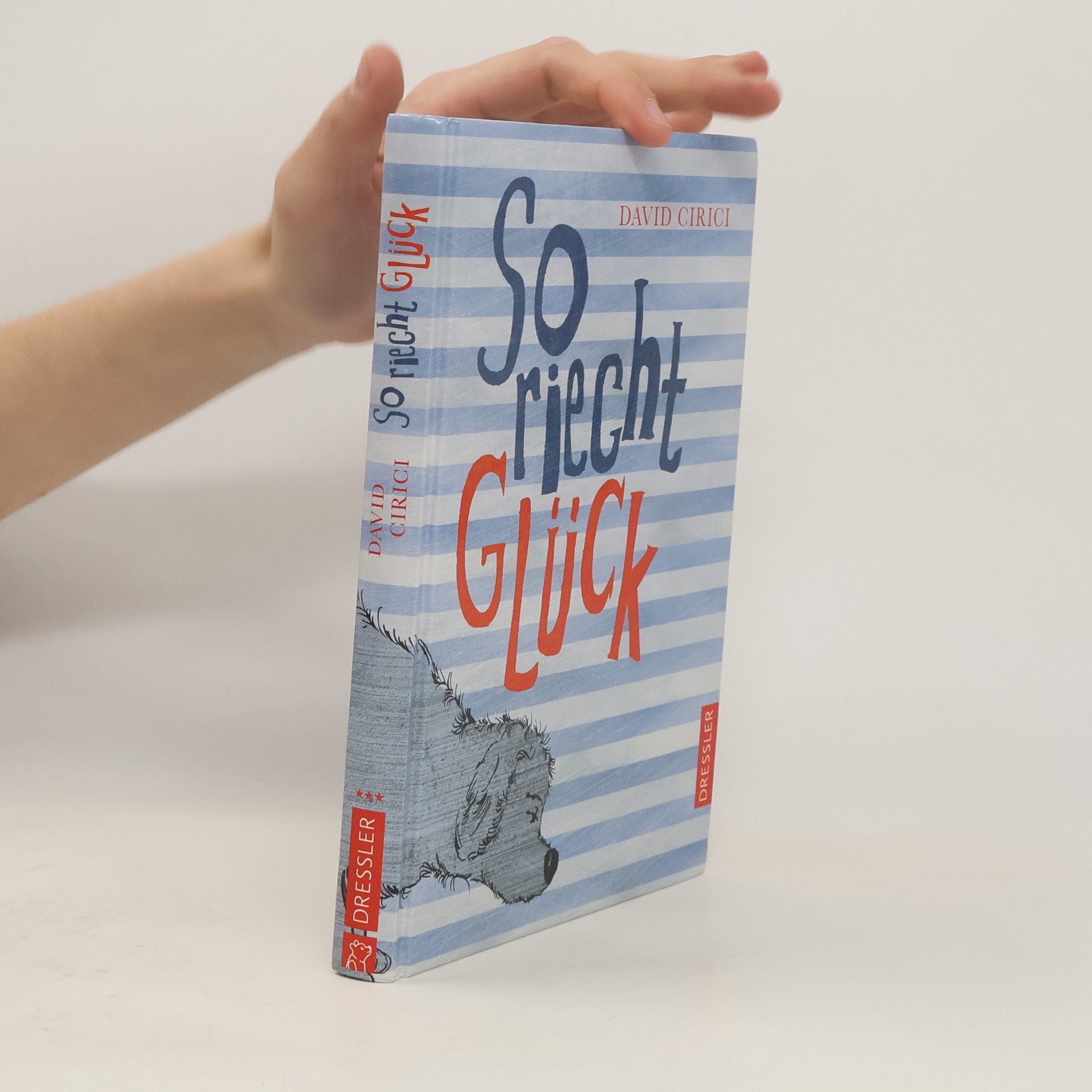 David Cirici So riecht Glück