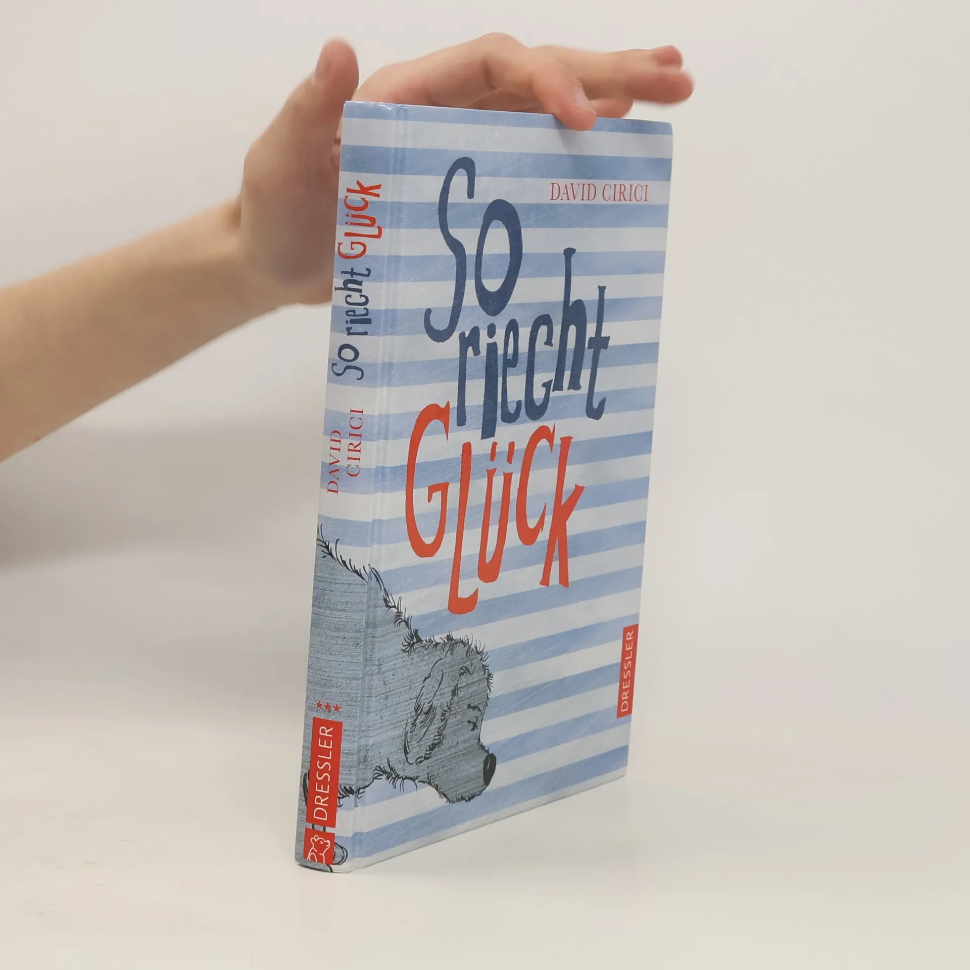 So riecht Glück | Buch | Hardcover | David Cirici