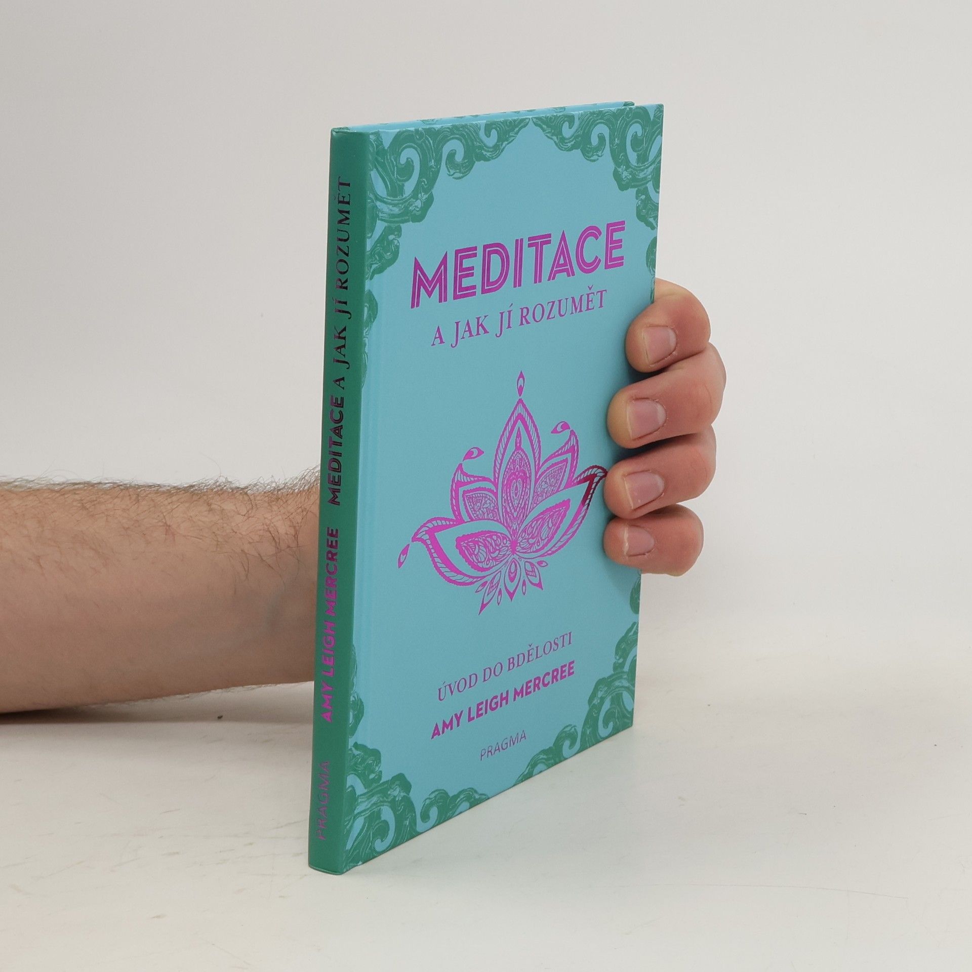 Amy Leigh Mercree Meditace a jak jí rozumět - Úvod do bdělosti