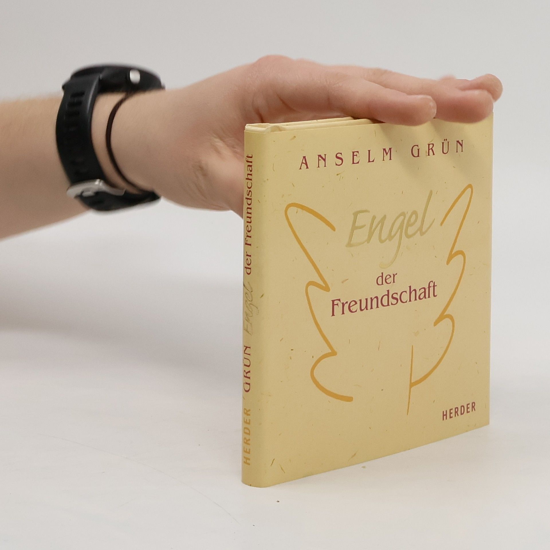 Anselm Grün Engel der Freundschaft