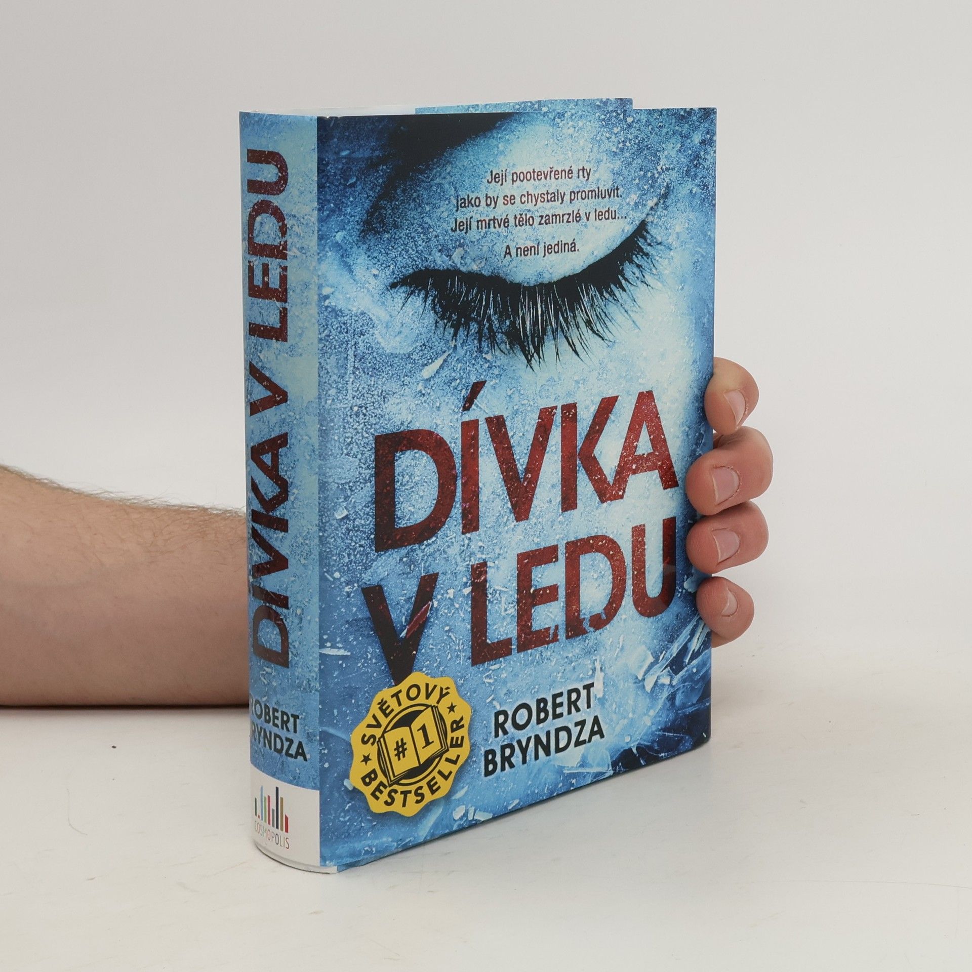 Robert Bryndza Dívka v ledu