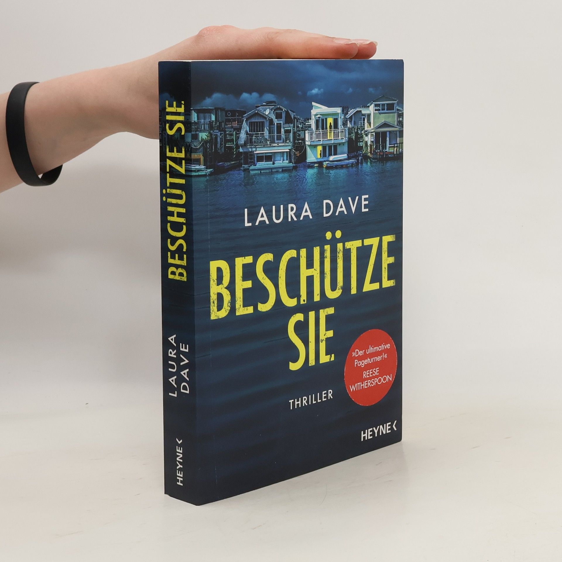 Laura Dave Beschütze sie