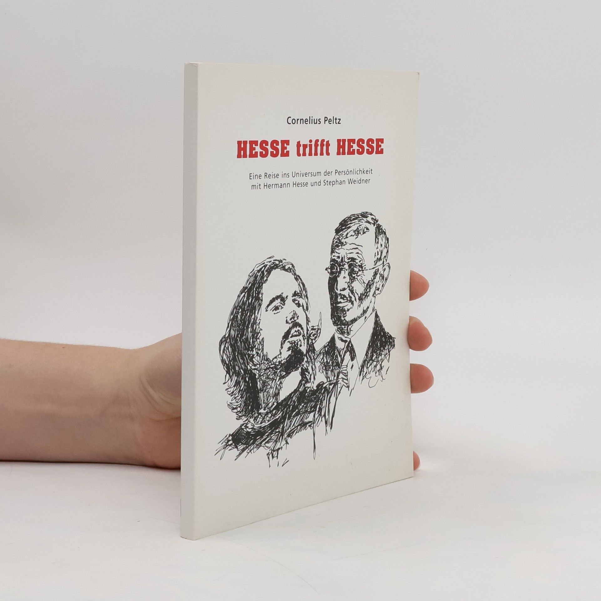 Klaus Farin Buch der Erinnerungen