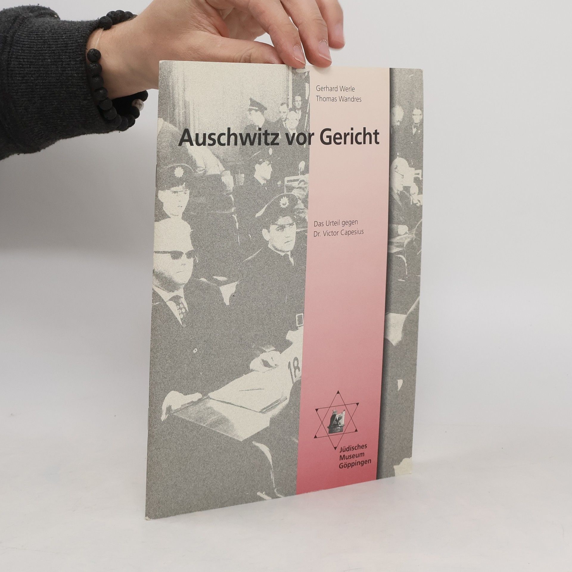 Gerhard Werle Auschwitz vor Gericht