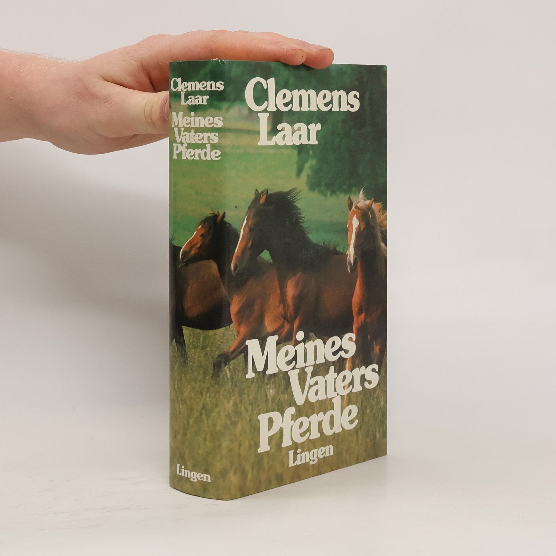 Clemens Laar Meines Vaters Pferde
