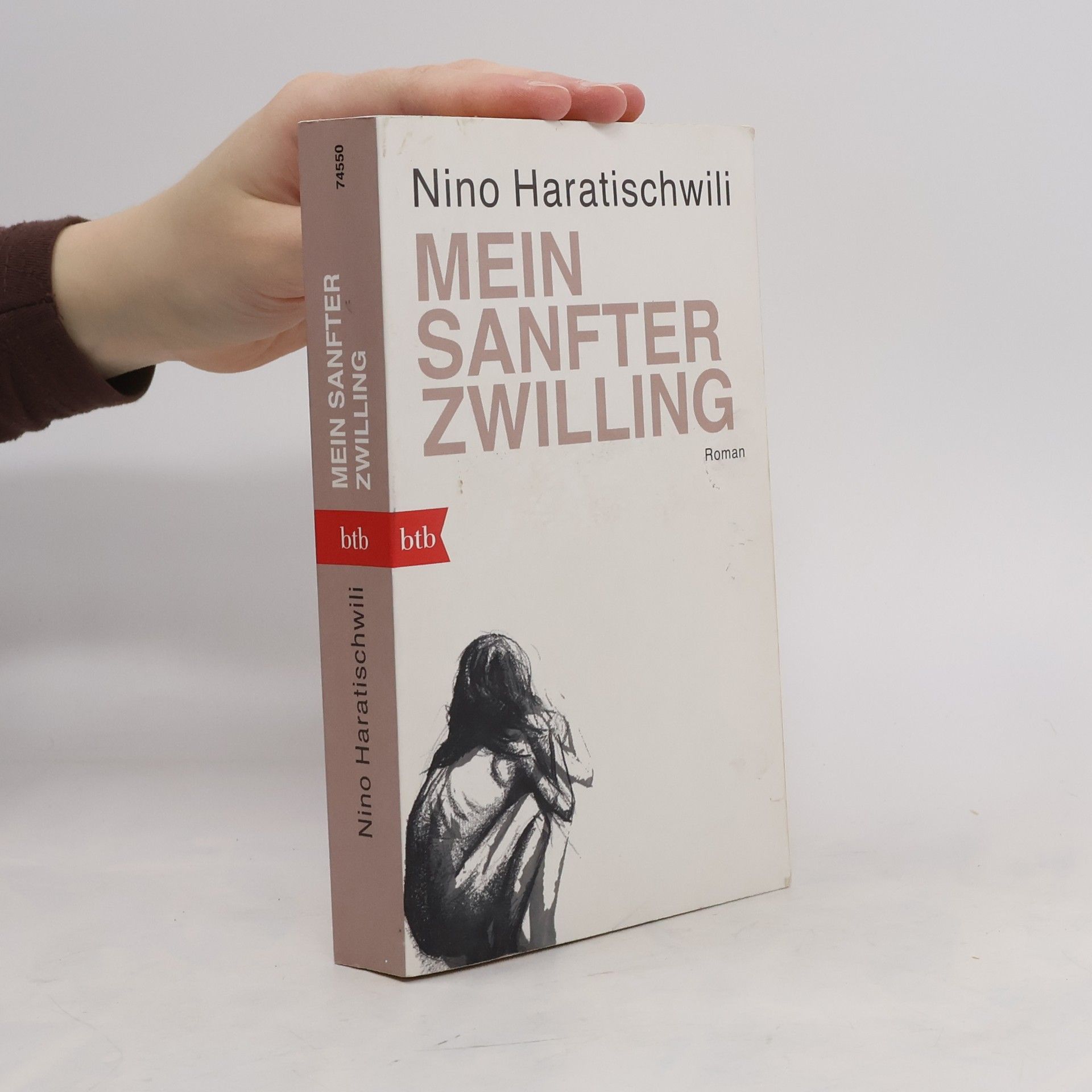 Nino Haratischwili Mein sanfter Zwilling