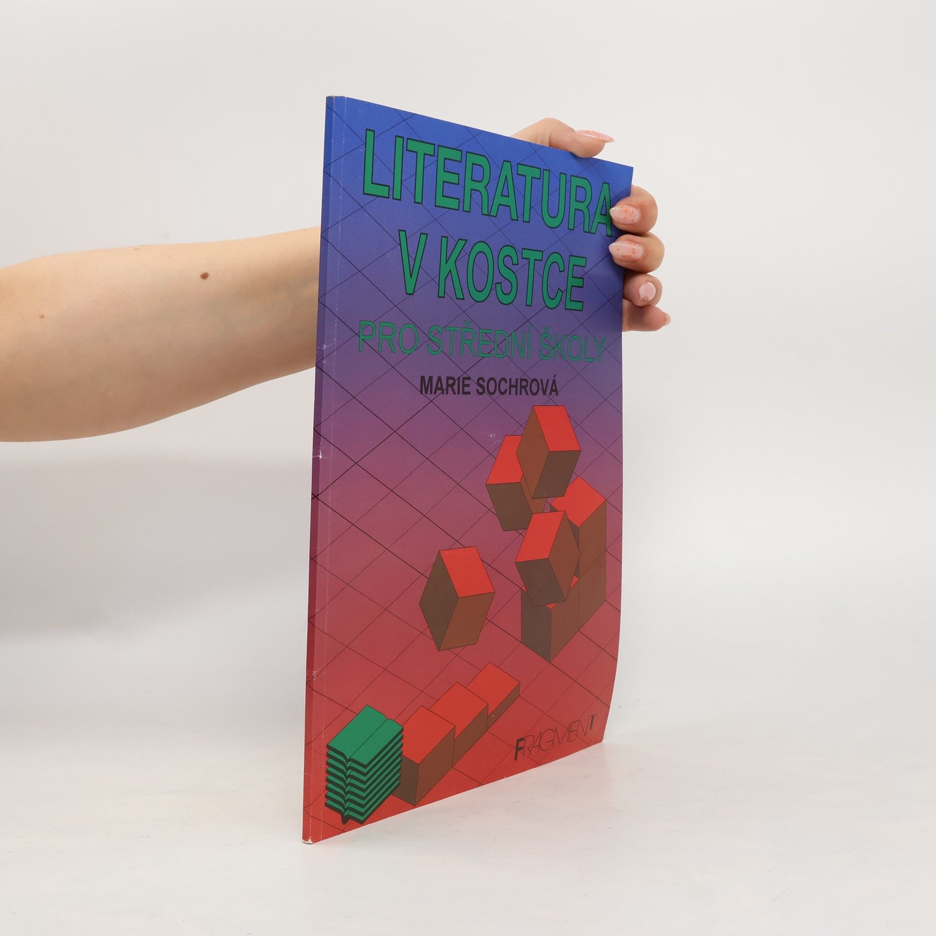 Tomáš Řízek Literatura v kostce