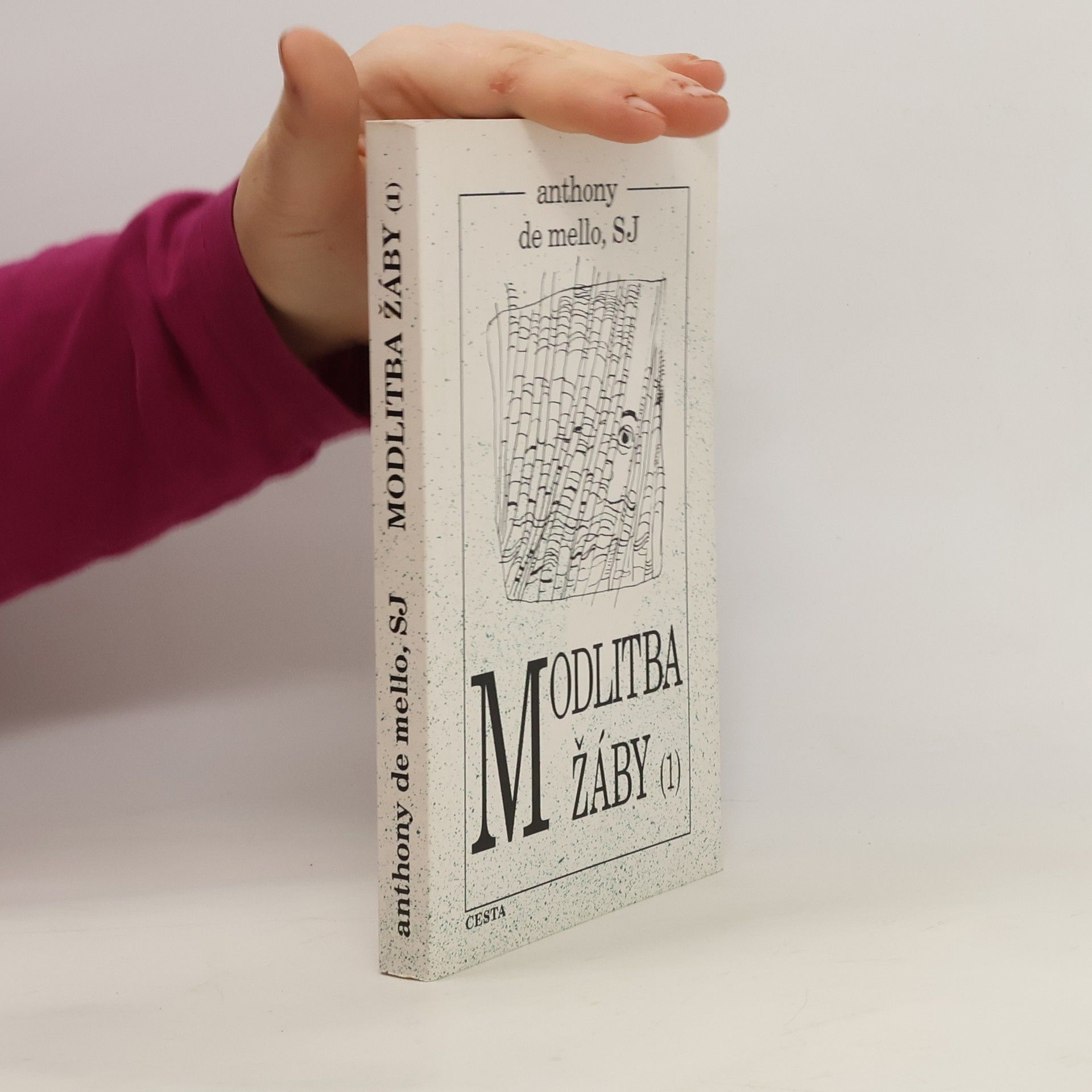 Anthony De Mello Modlitba žáby 1