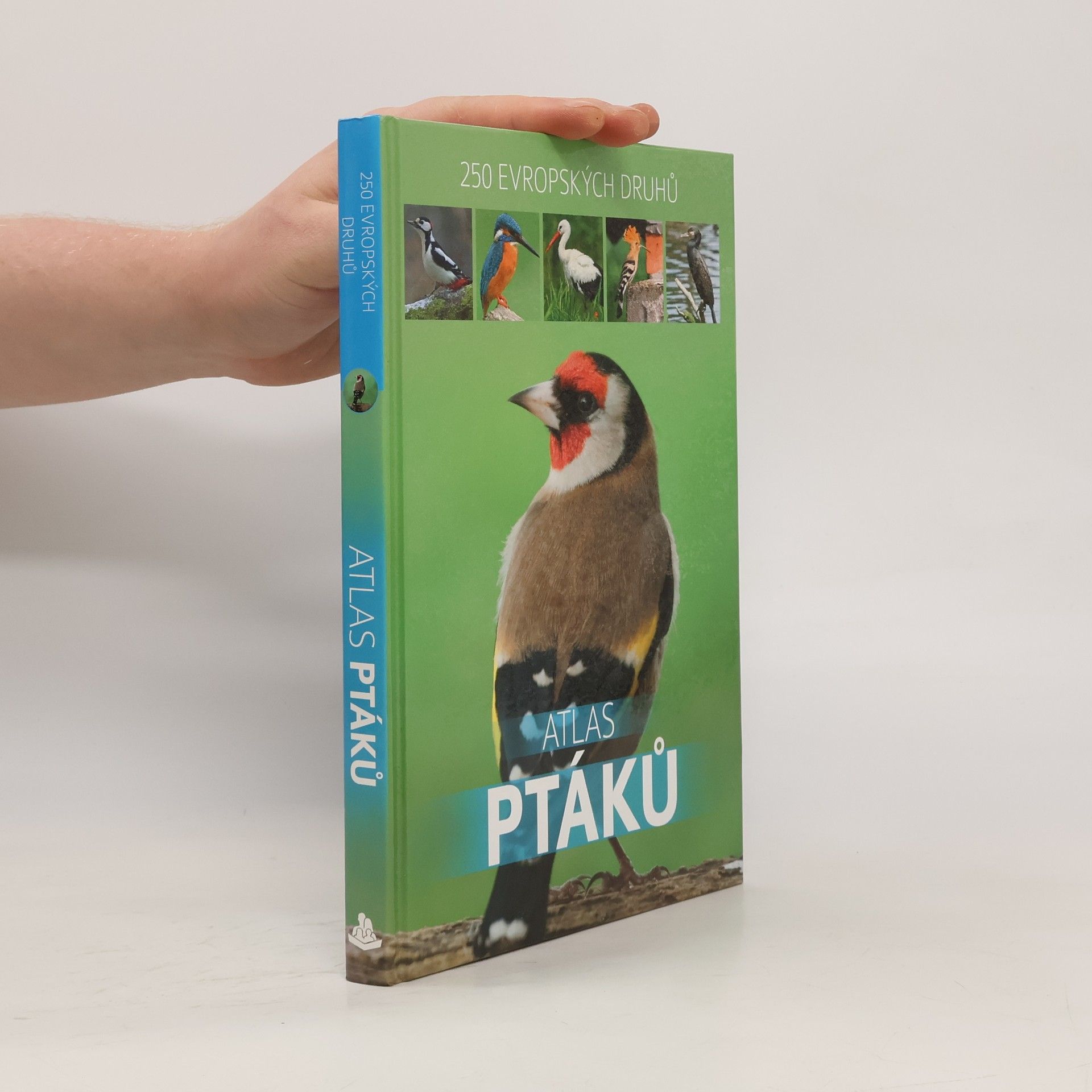 Dominik Marchowski Atlas ptáků : 250 evropských druhů