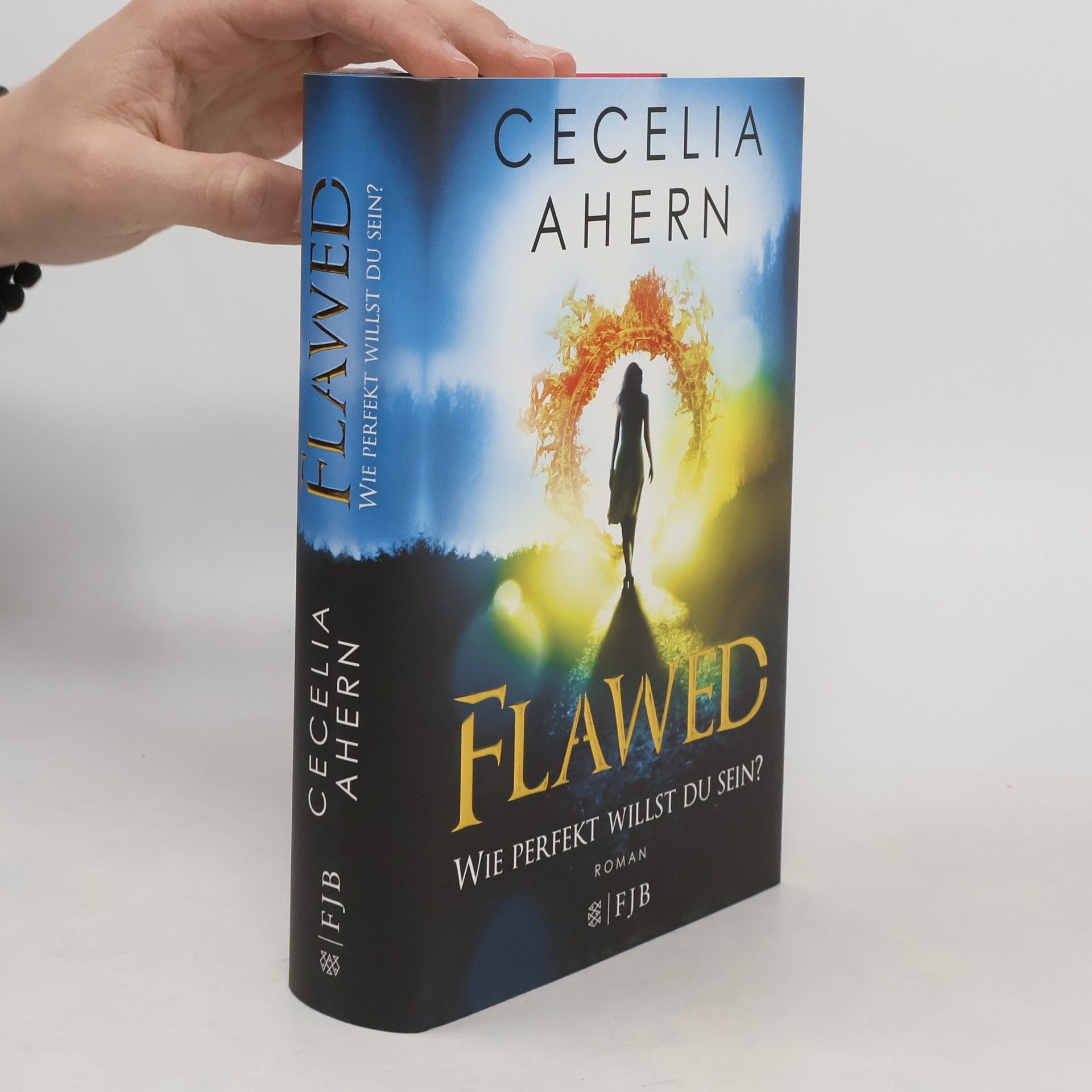 Cecelia Ahern Flawed - wie perfekt willst du sein?