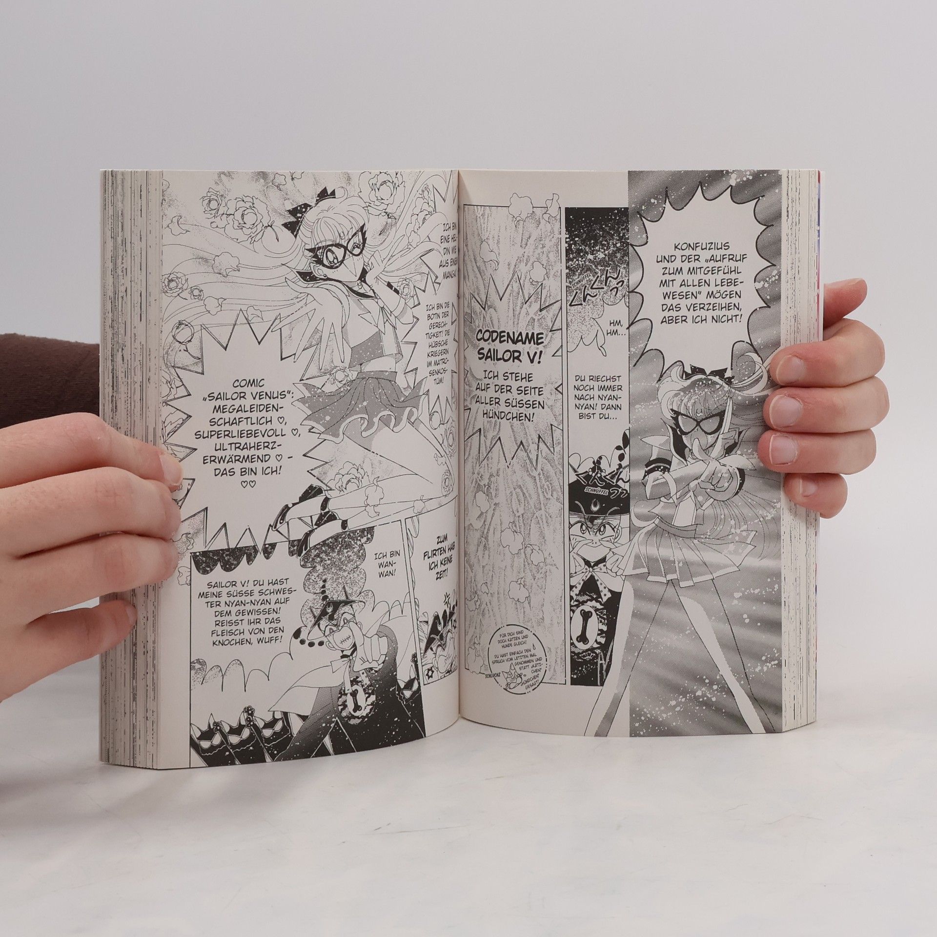 Naoko Takeuchi Codename Sailor V 2