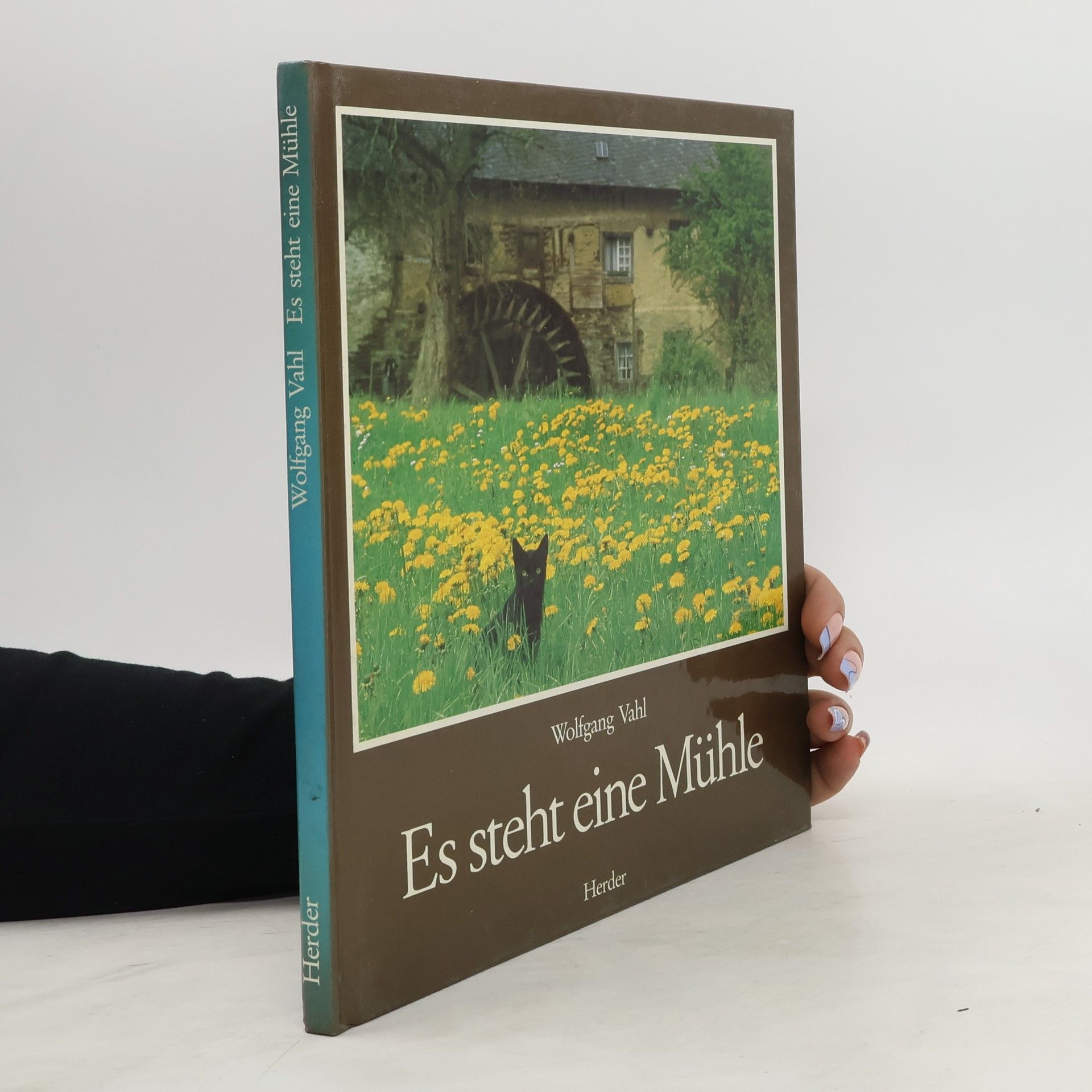 Wolfgang Vahl Es steht eine Mühle