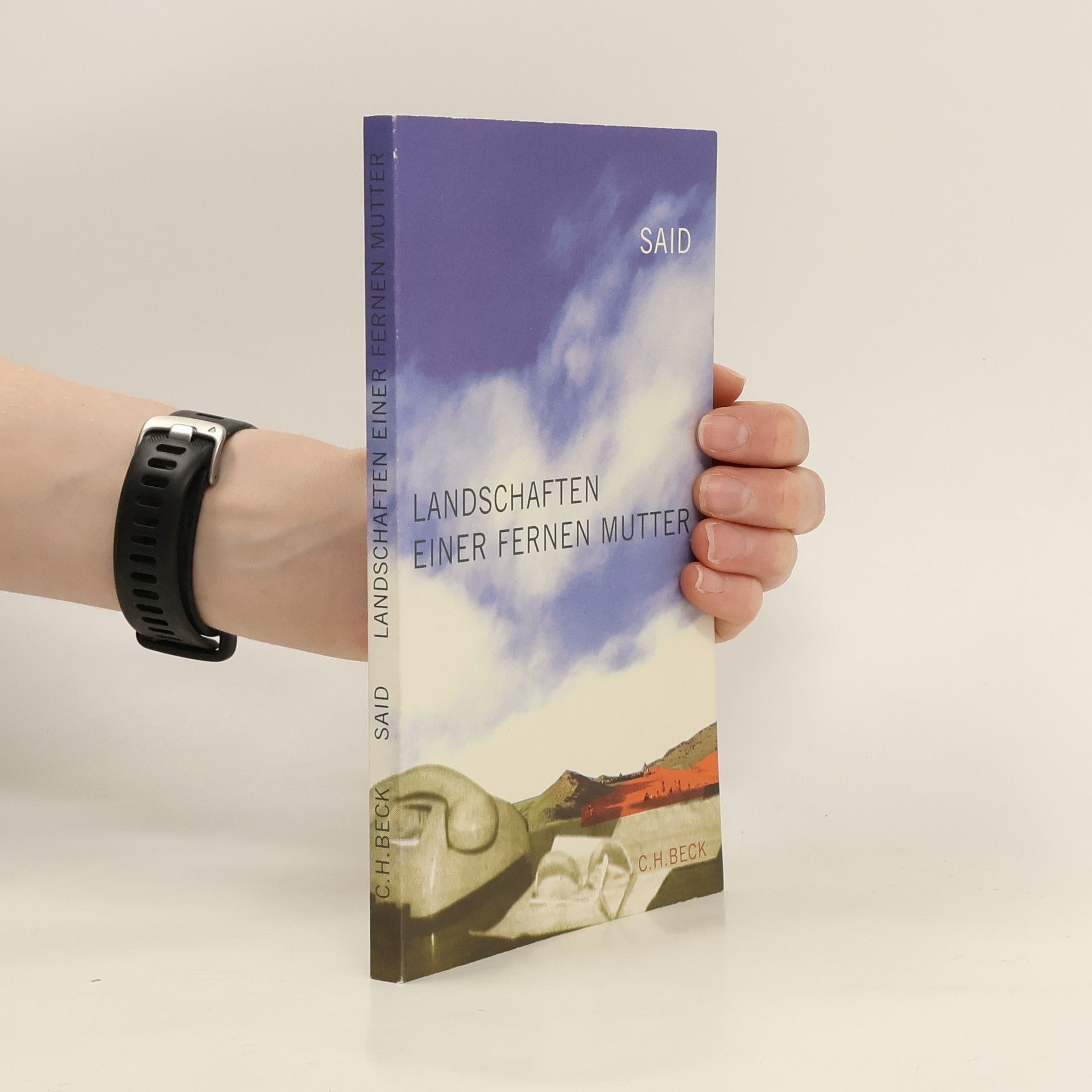 Said Landschaften einer fernen Mutter