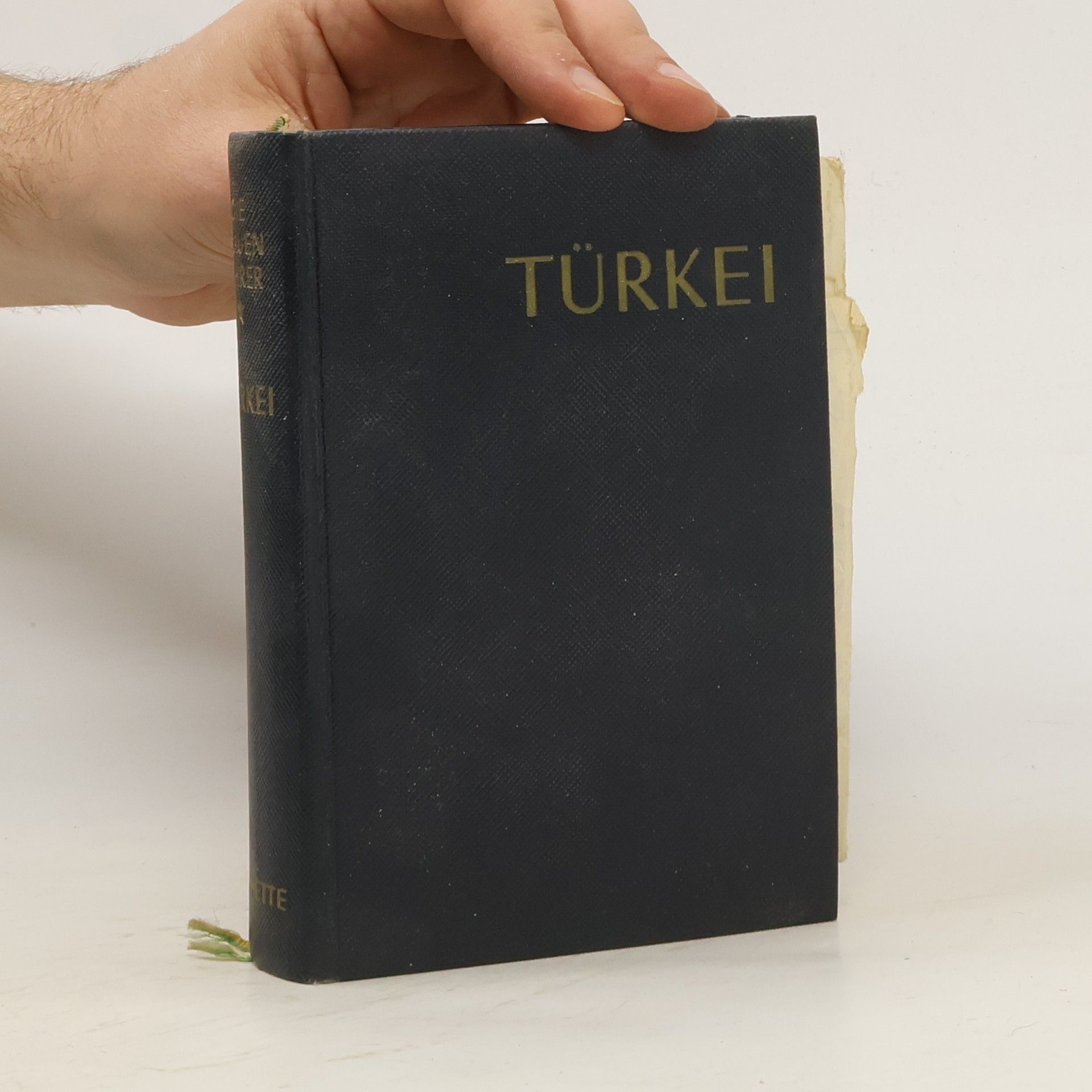 Autorenkollektiv Die blauen Führer. Türkei