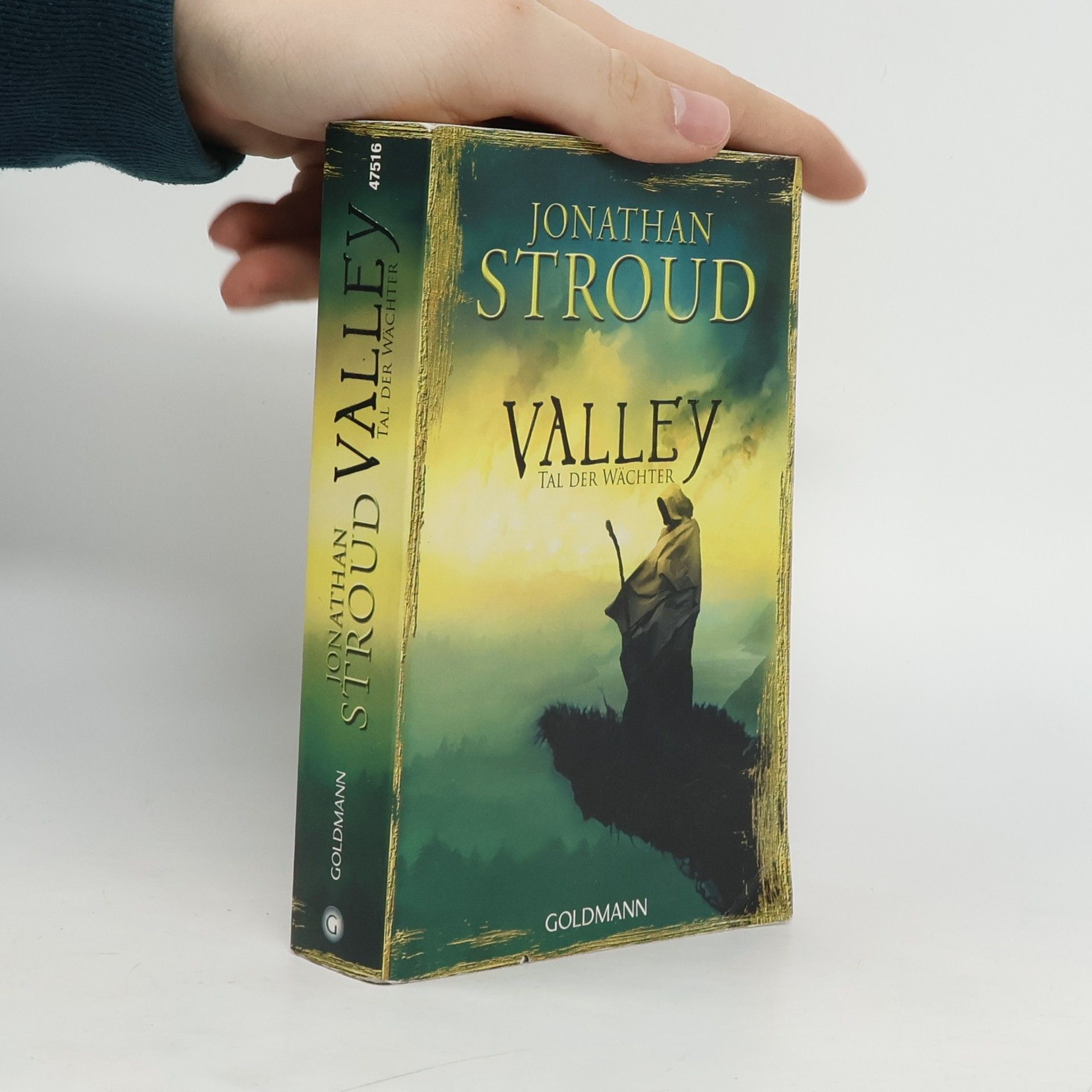 Jonathan Stroud Valley - Tal der Wächter