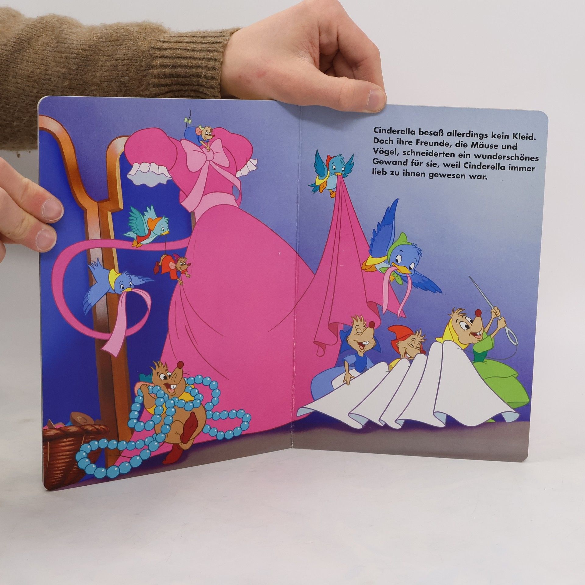 Walt Disney Ein Traum wird wahr. Disney Prinzessin