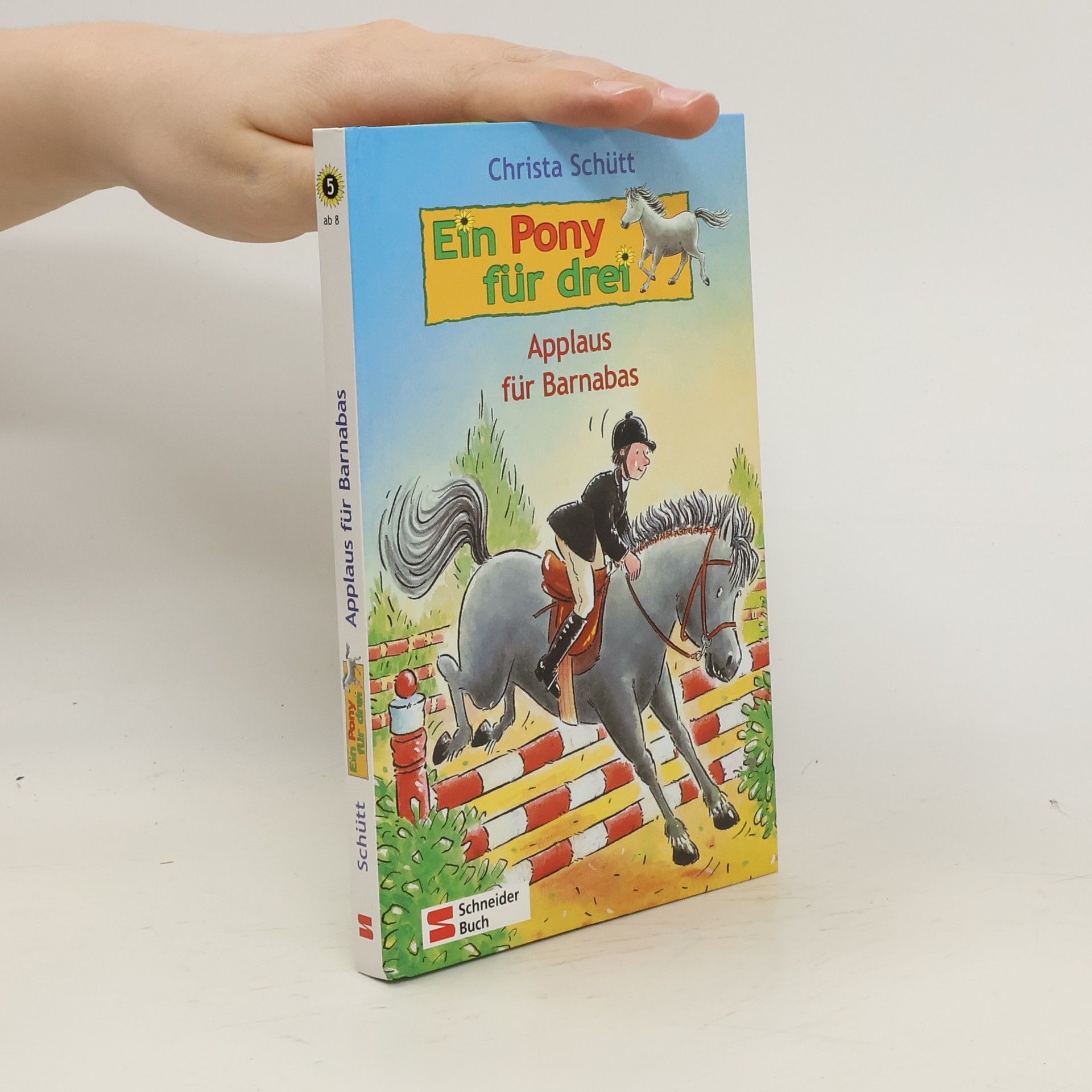 Christa Schütt Ein Pony für drei