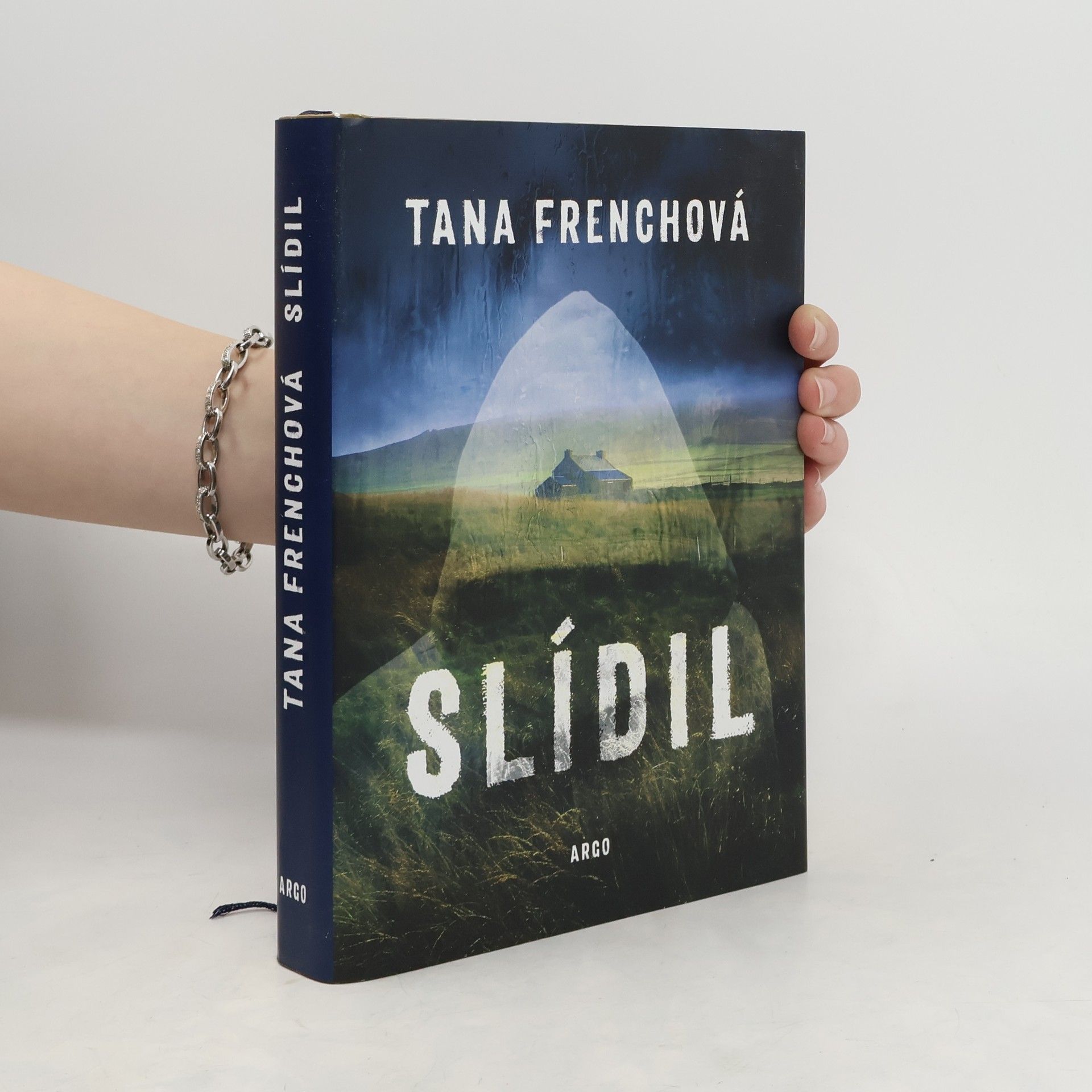 Tana French Slídil