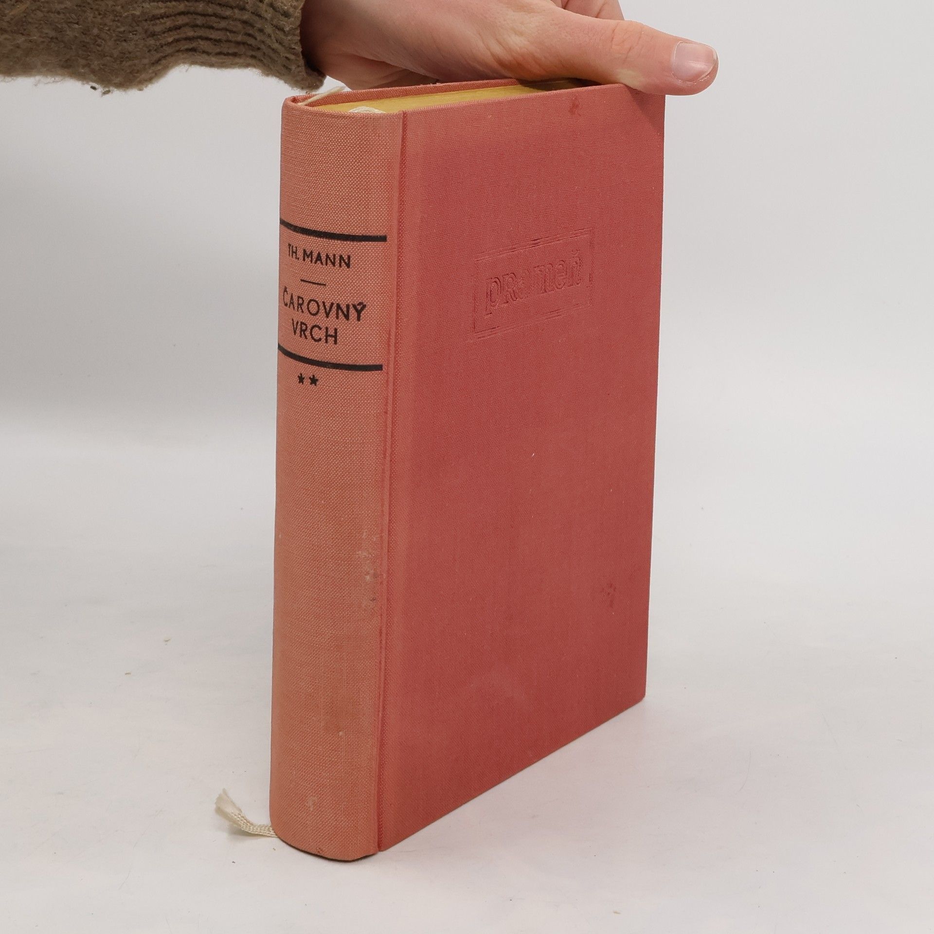 Thomas Mann Čarovný vrch II