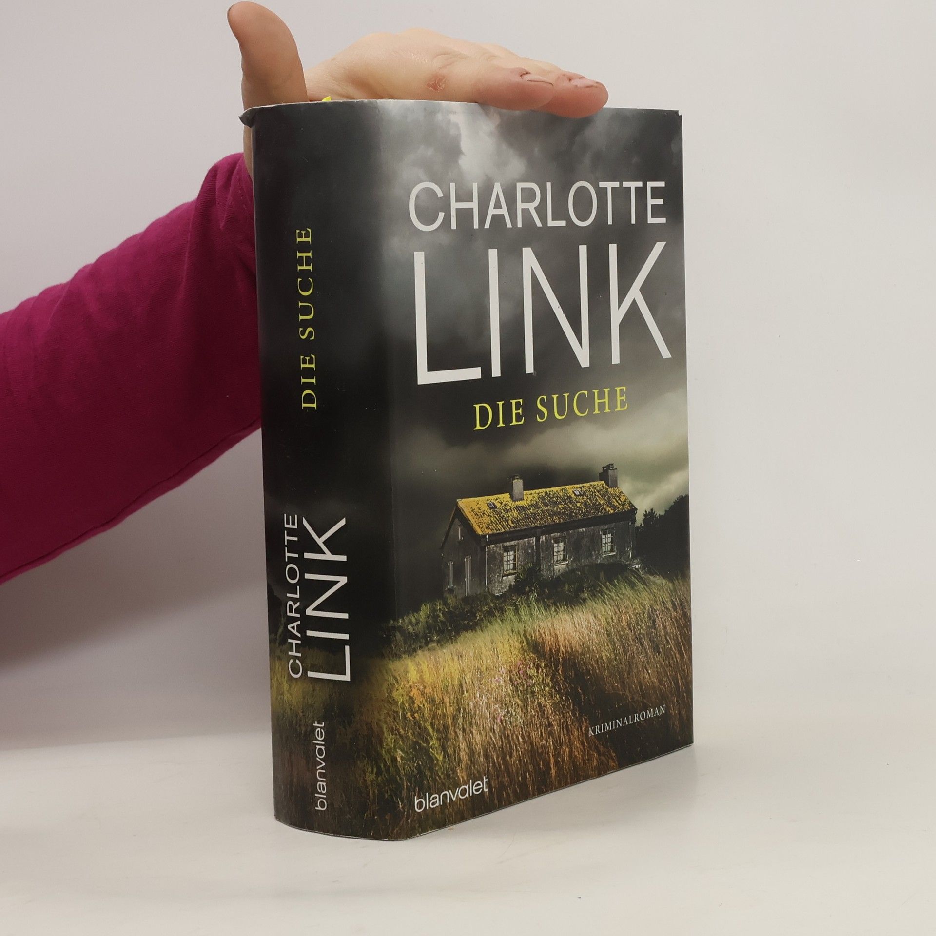 Charlotte Link Die Suche