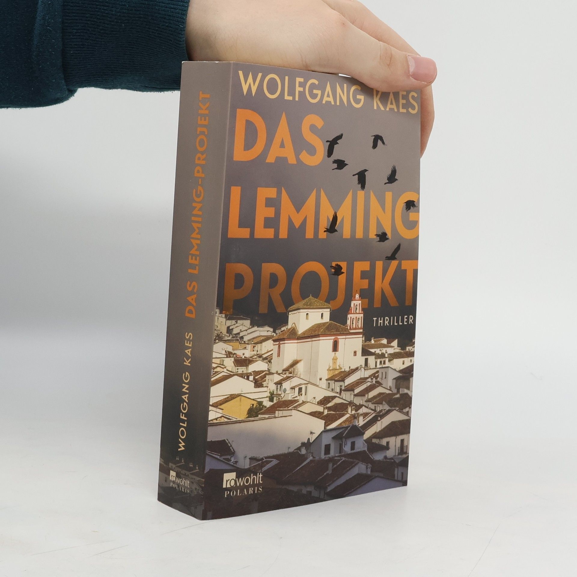 Wolfgang Kaes Das Lemming-Projekt