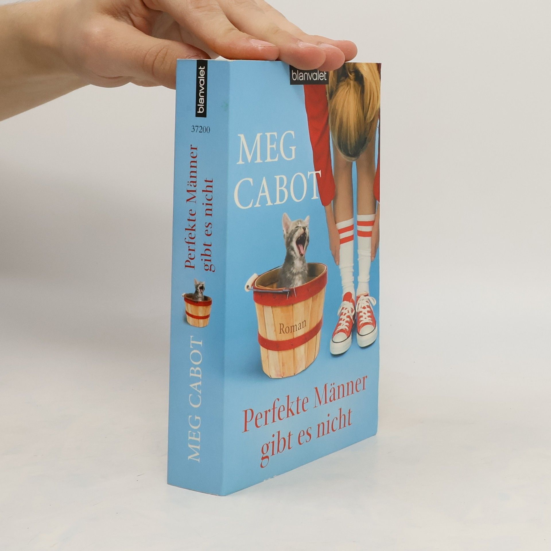 Meg Cabot Perfekte Männer gibt es nicht
