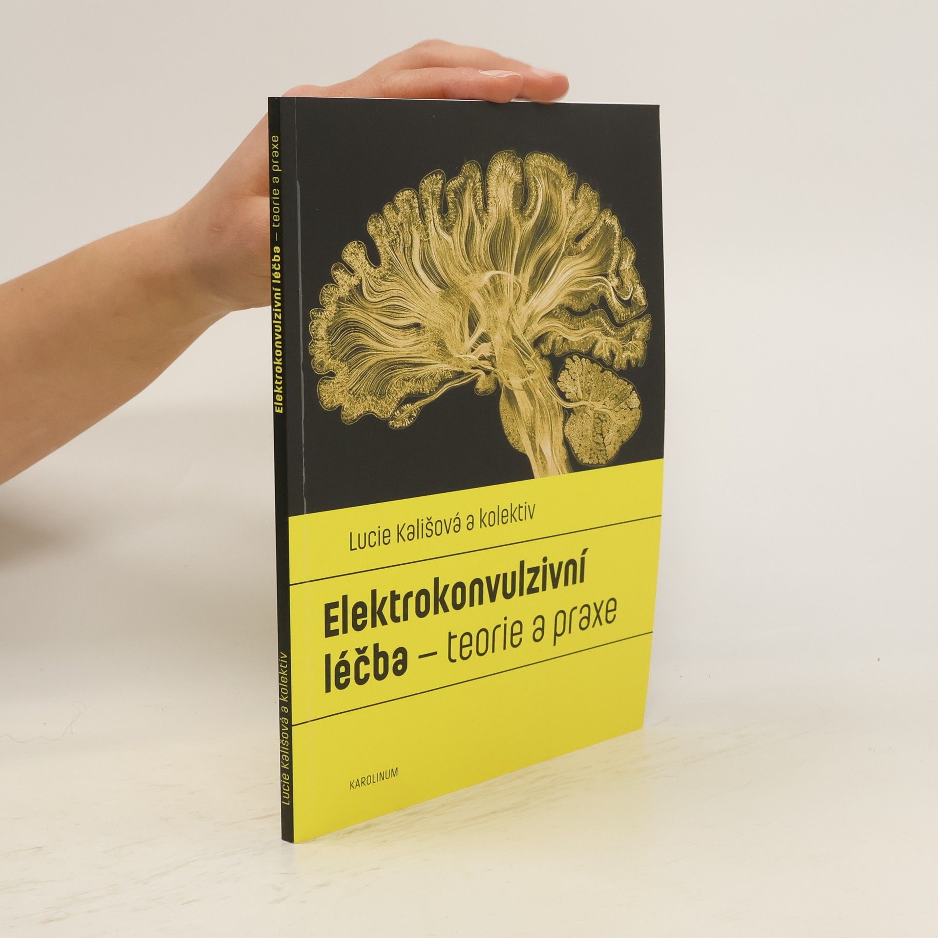 Lucie Kališová Elektrokonvulzivní léčba - teorie a praxe