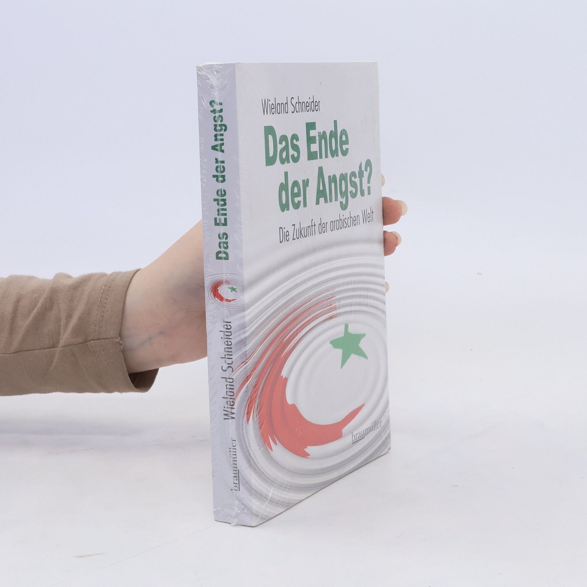 Wieland Schneider Das Ende der Angst?