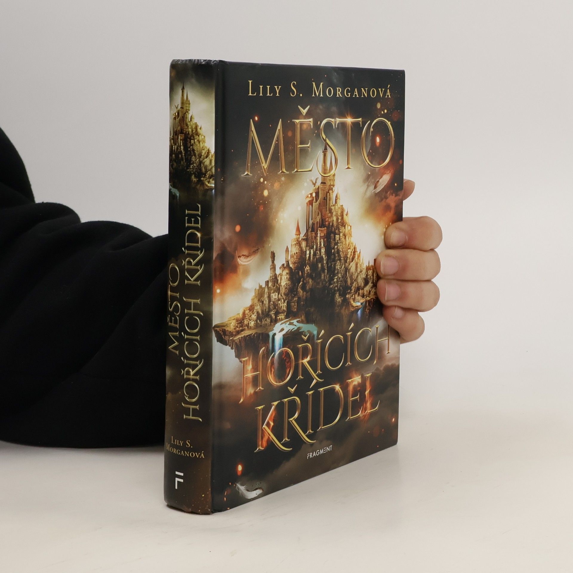 Lily S Morgan Město hořících křídel