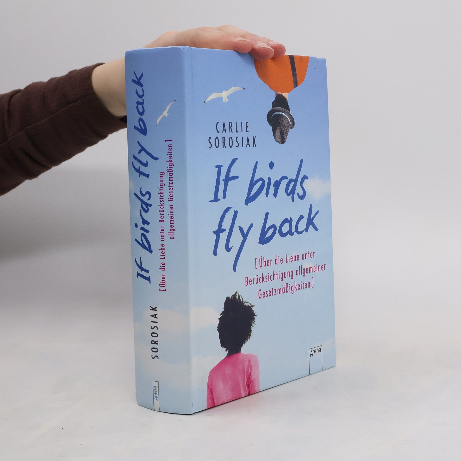 Carlie Sorosiak If birds fly back