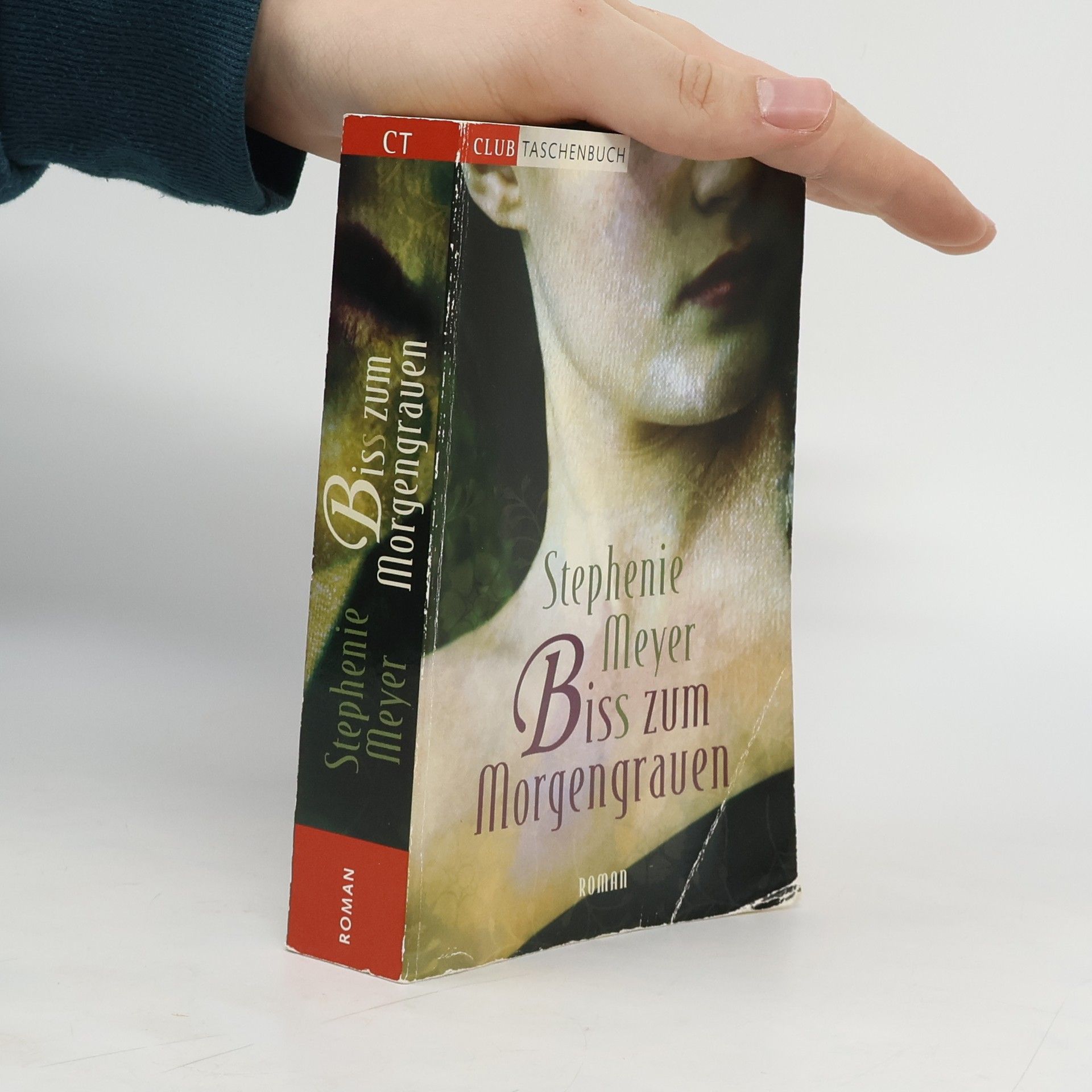 Stephenie Meyer Biss zum Morgengraven