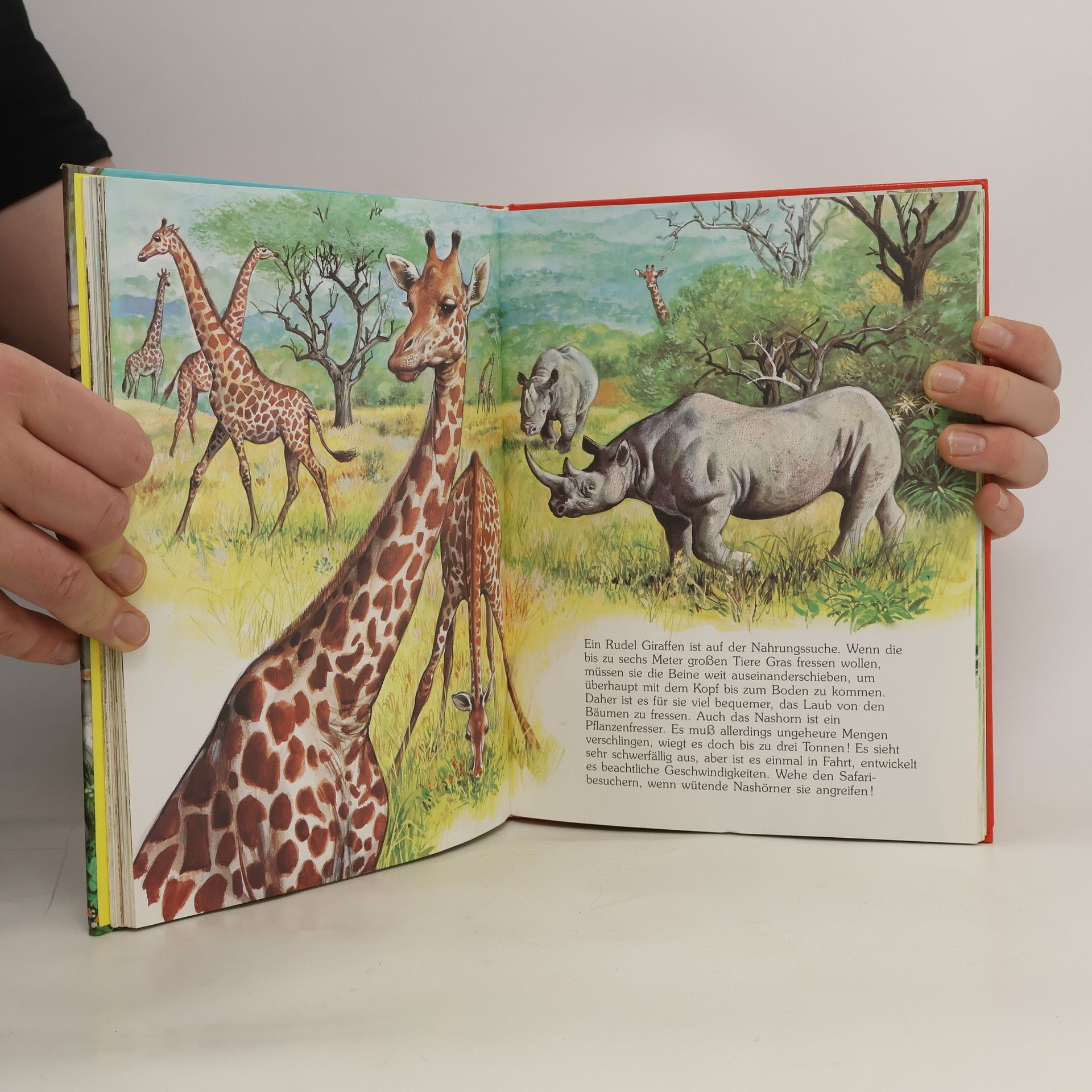 Autorenkollektiv Das große Tierbuch