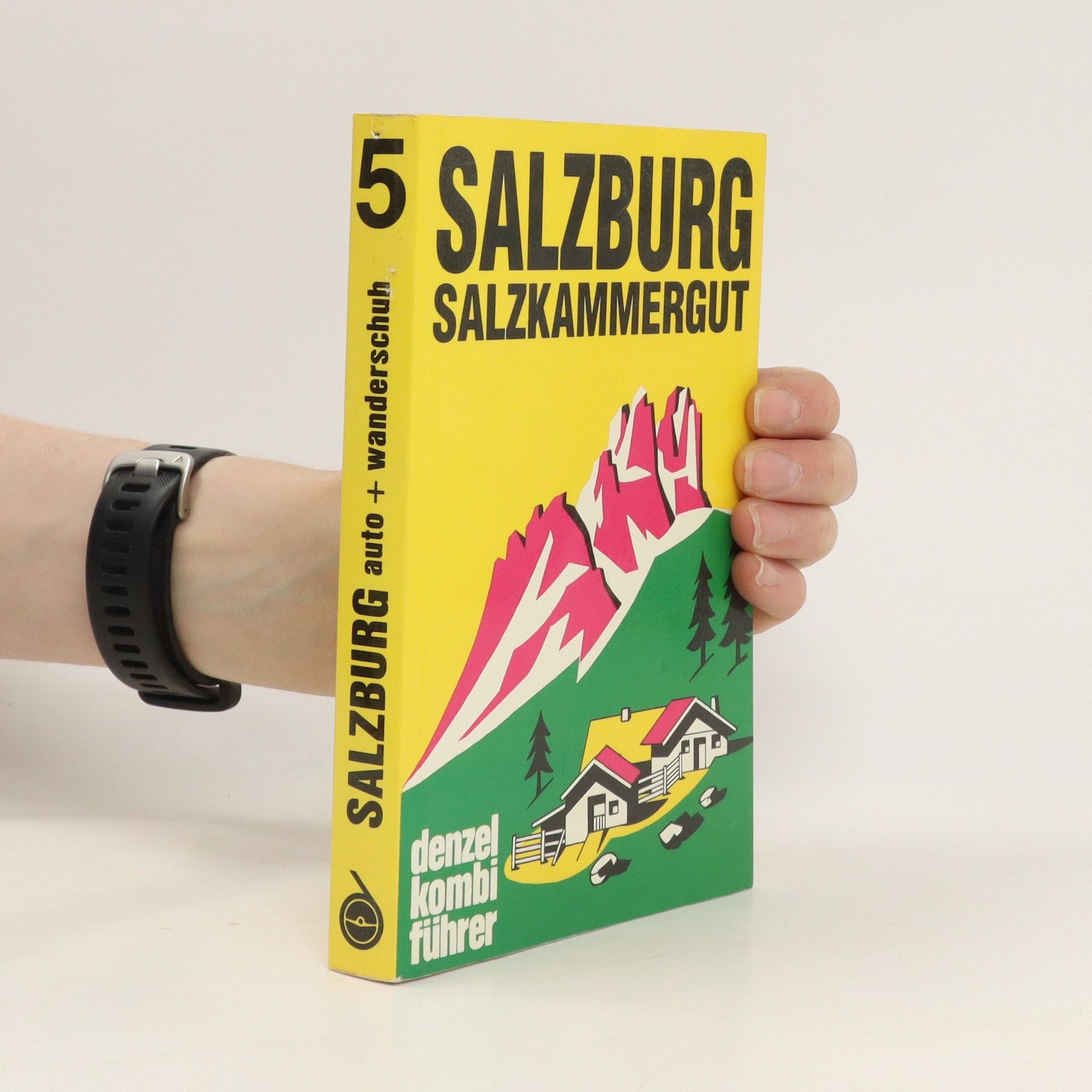 Eduard Denzel Salzburg - Salzkammergut