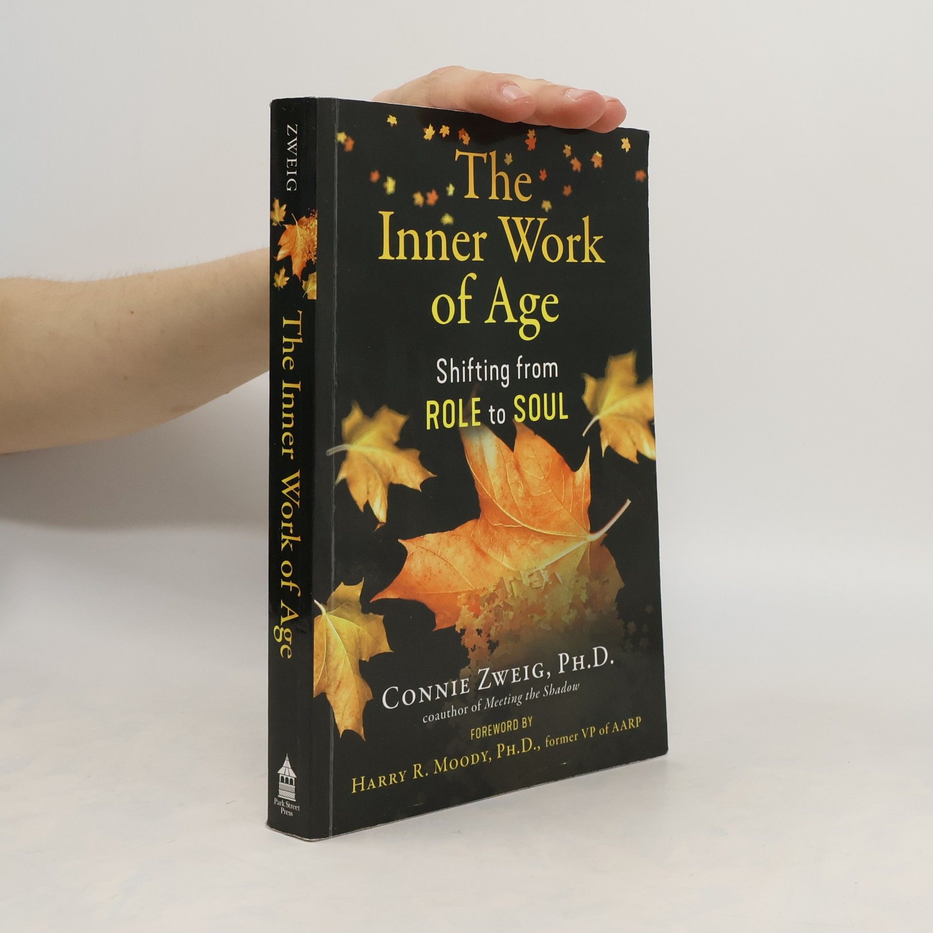 Connie Zweig The Inner Work of Age