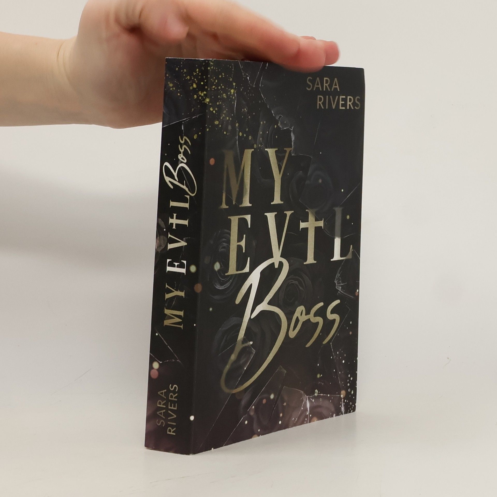 Sara Rivers My Evil Boss
