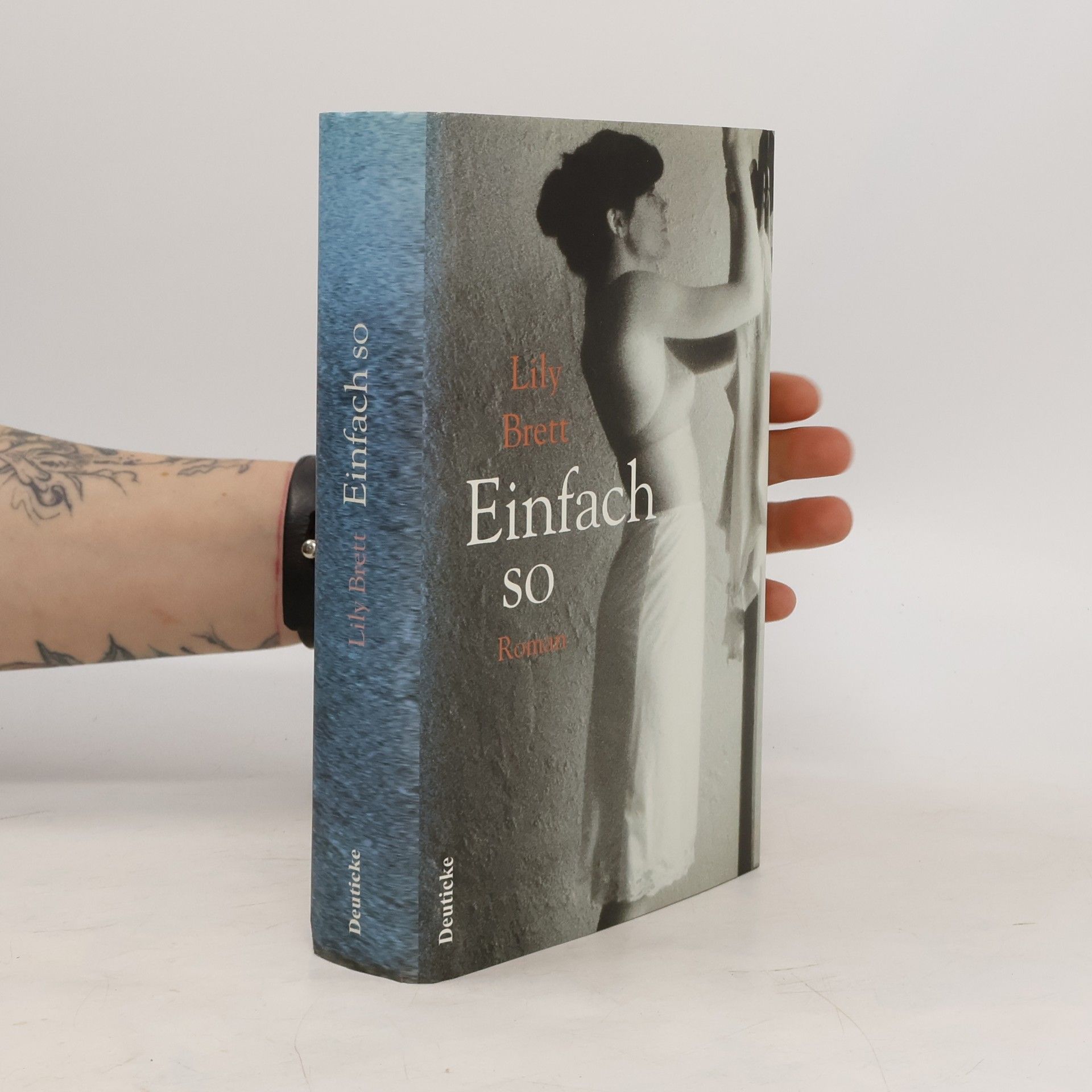 Lily Brett Einfach so