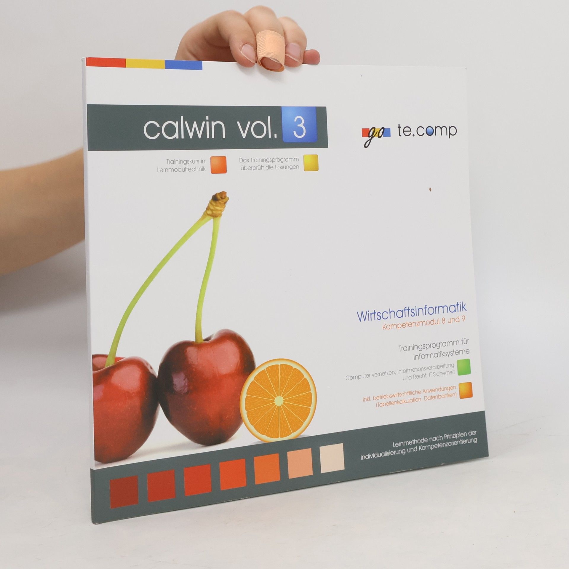 Autorenkollektiv Go te.comp Calwin vol. 3