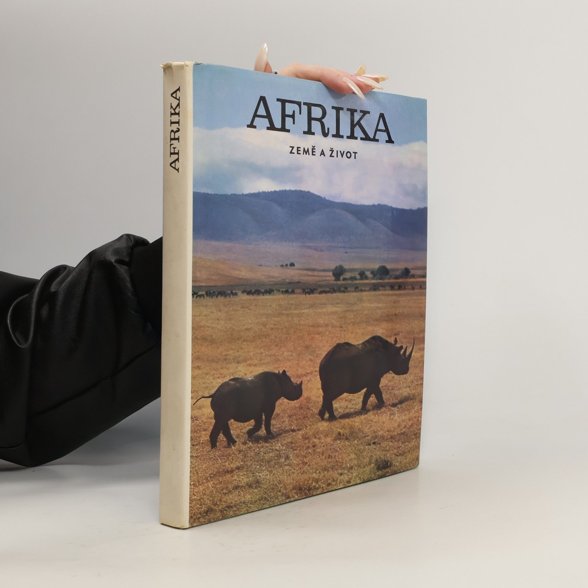 kolektiv Afrika