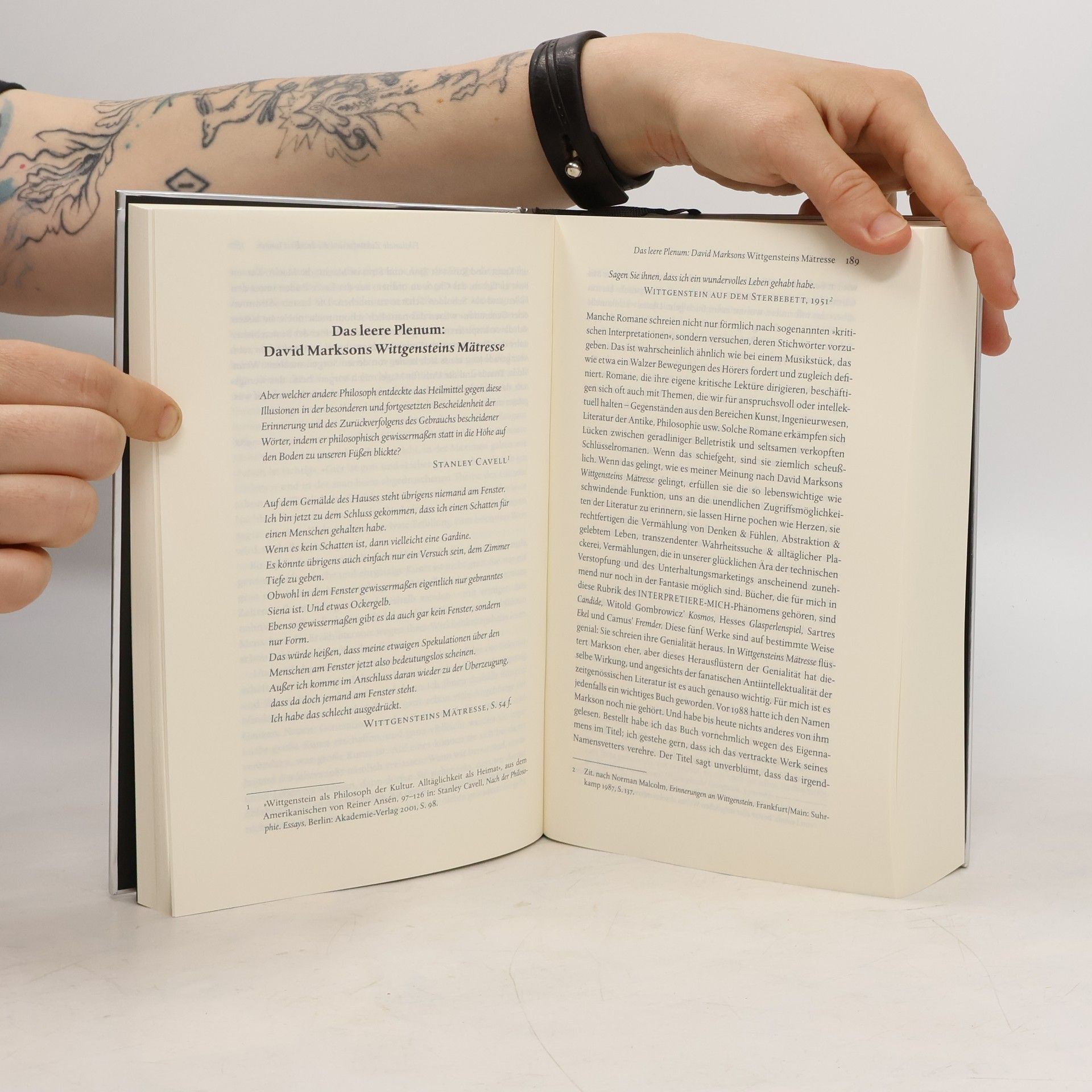 David Foster Wallace Der Spaß an der Sache
