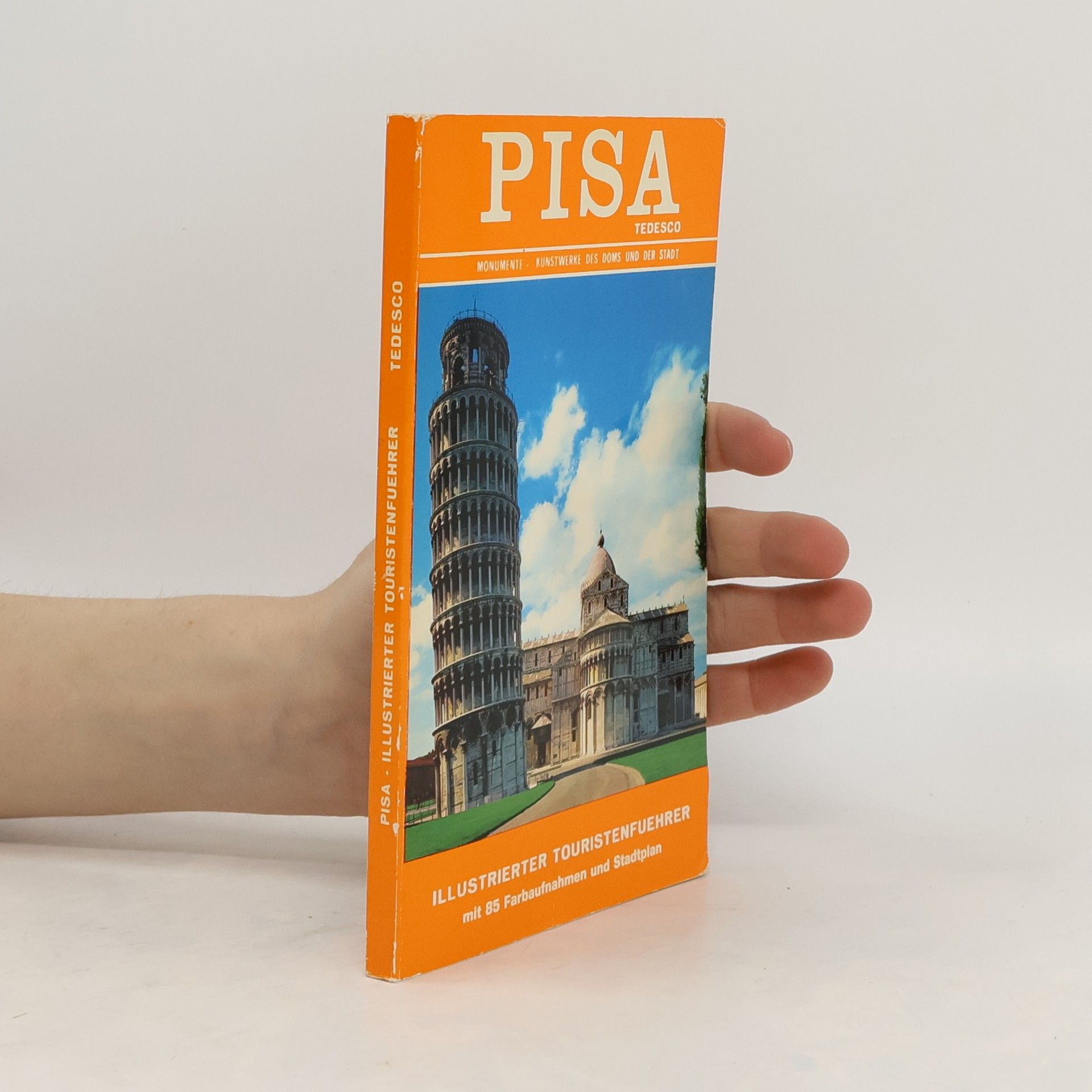 Auteurscollectief Pisa-Illustrierter Touristenführer