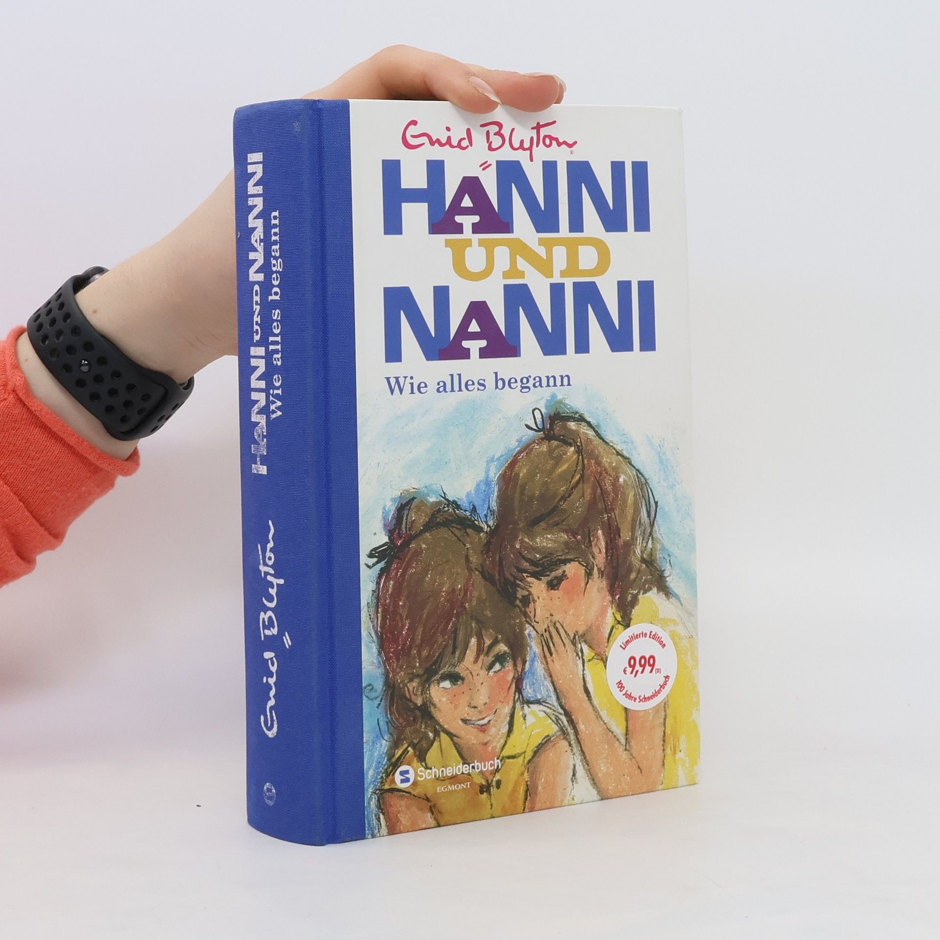Enid Blyton Hanni und Nanni - wie alles begann