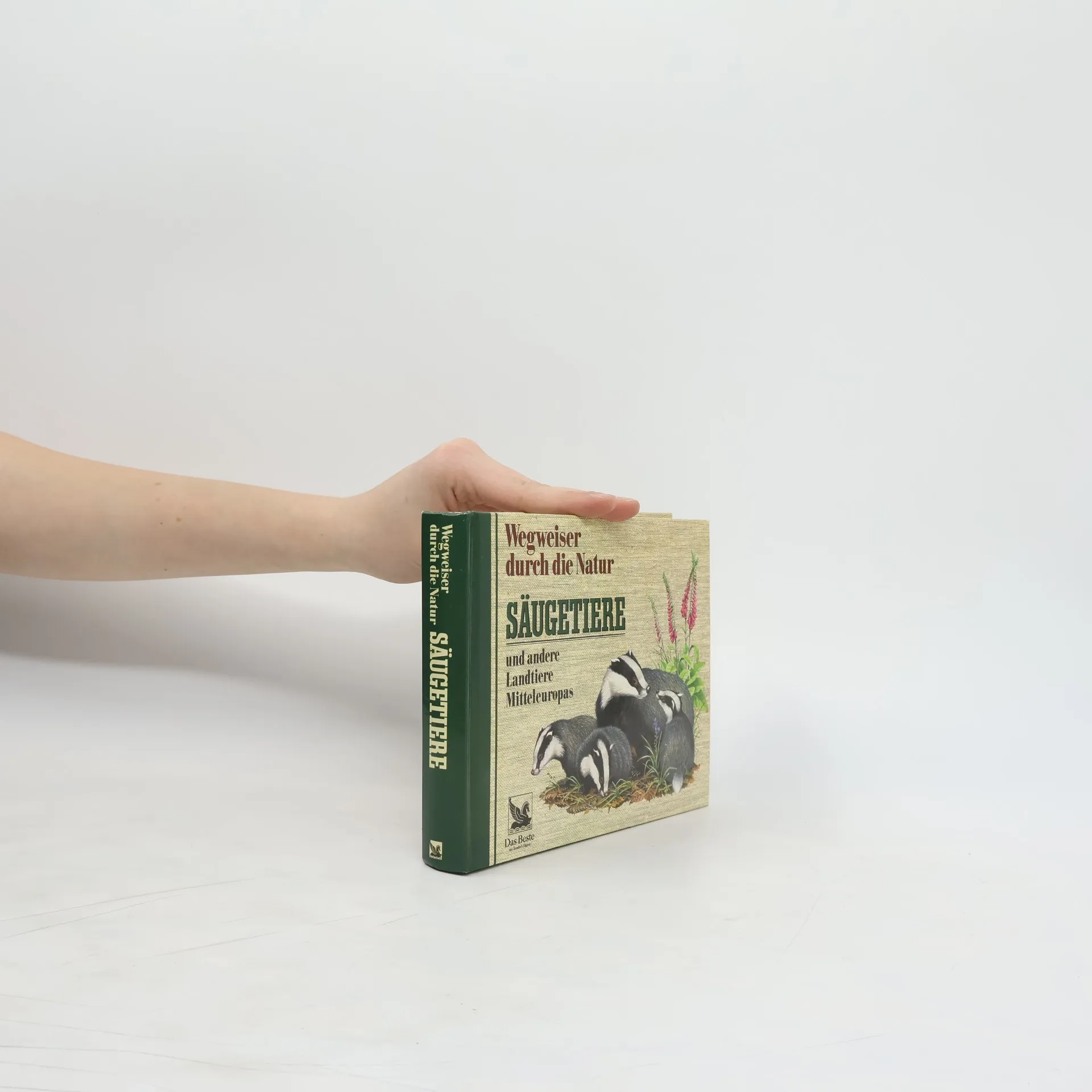 Wegweiser durch die Natur. Säugetiere und andere Landtiere Mitteleuropas | Buch | Hardcover | Friedrich Dieterlen