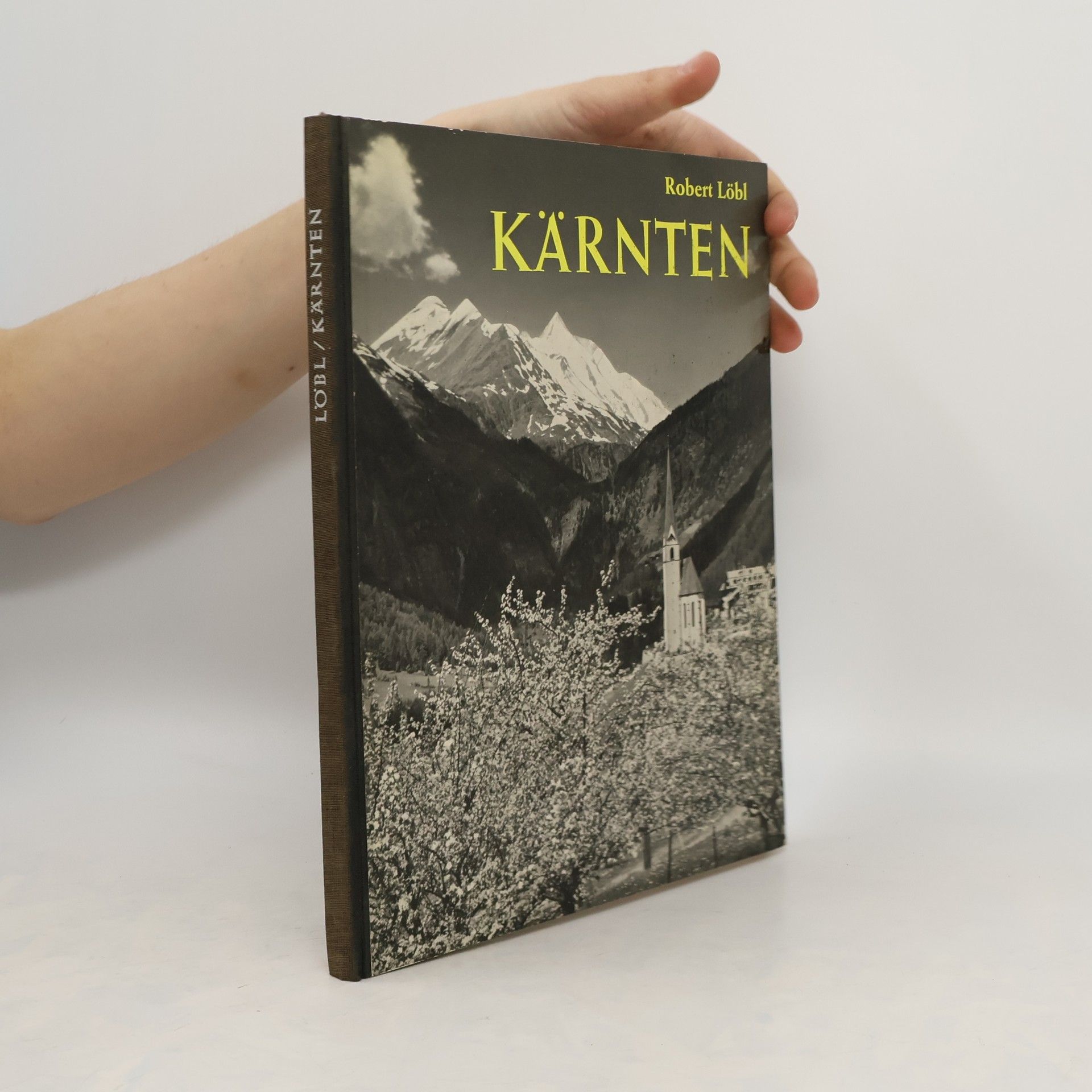Robert Löbl Kärnten