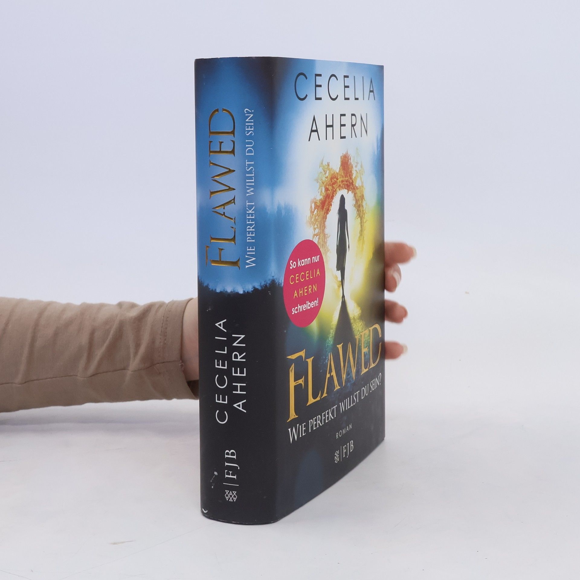 Cecelia Ahern Flawed - wie perfekt willst du sein?