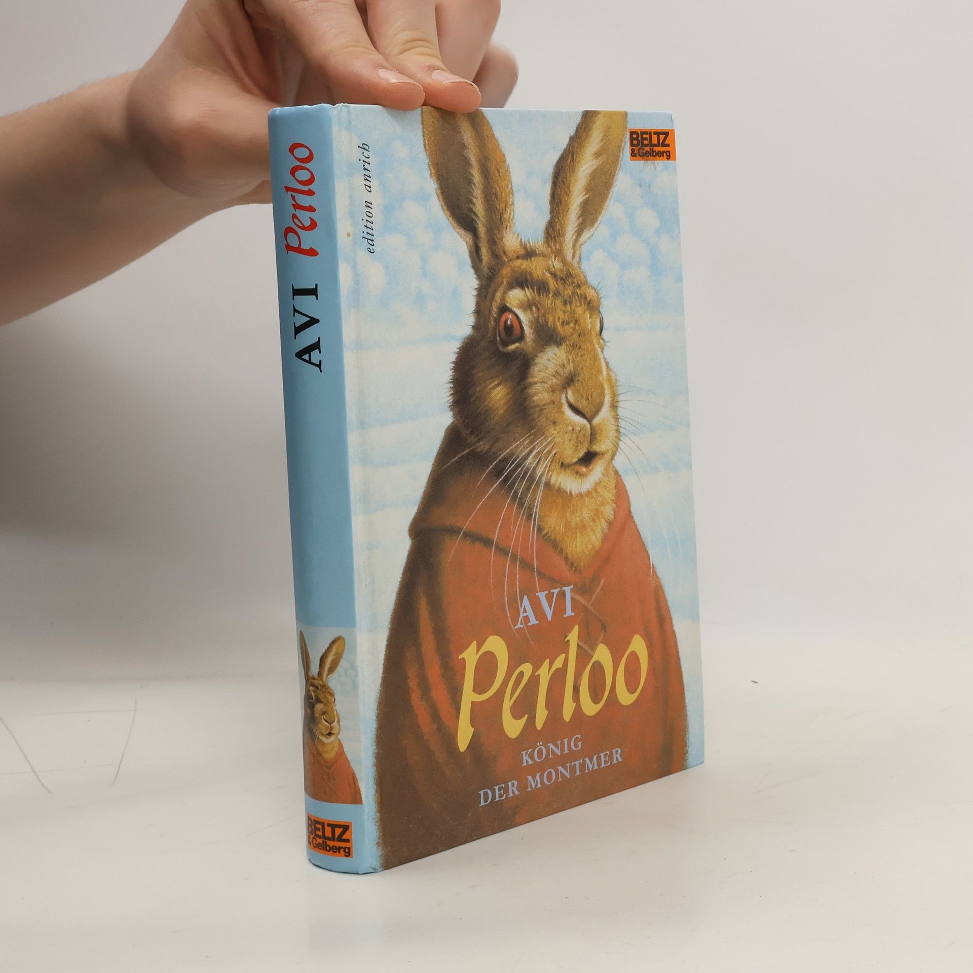Avi Perloo