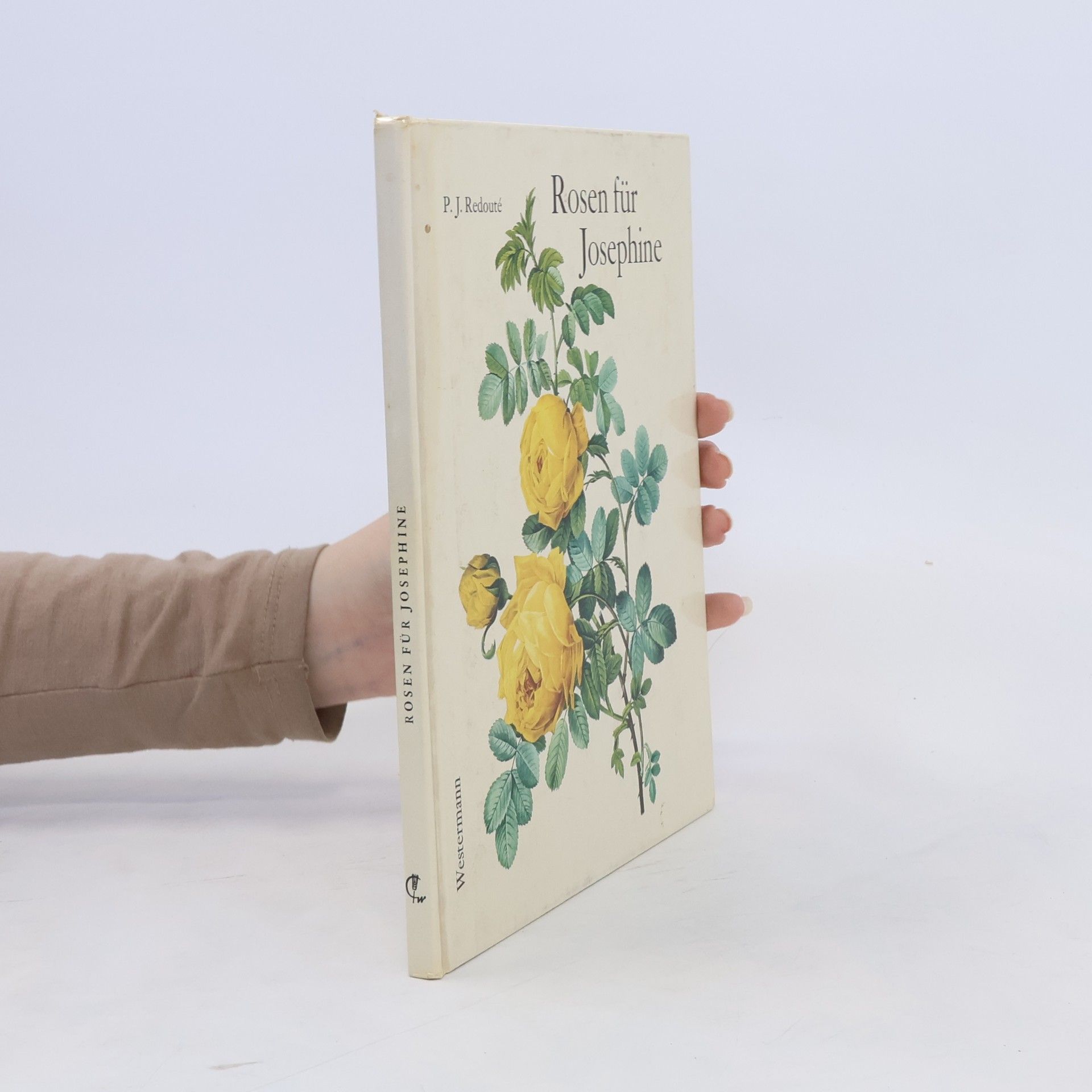 P. J. Redouté Rosen für Josephine