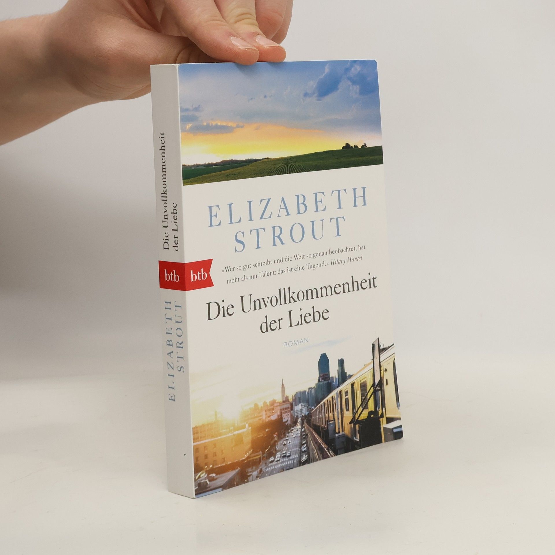 Elizabeth Strout Die Unvollkommenheit der Liebe