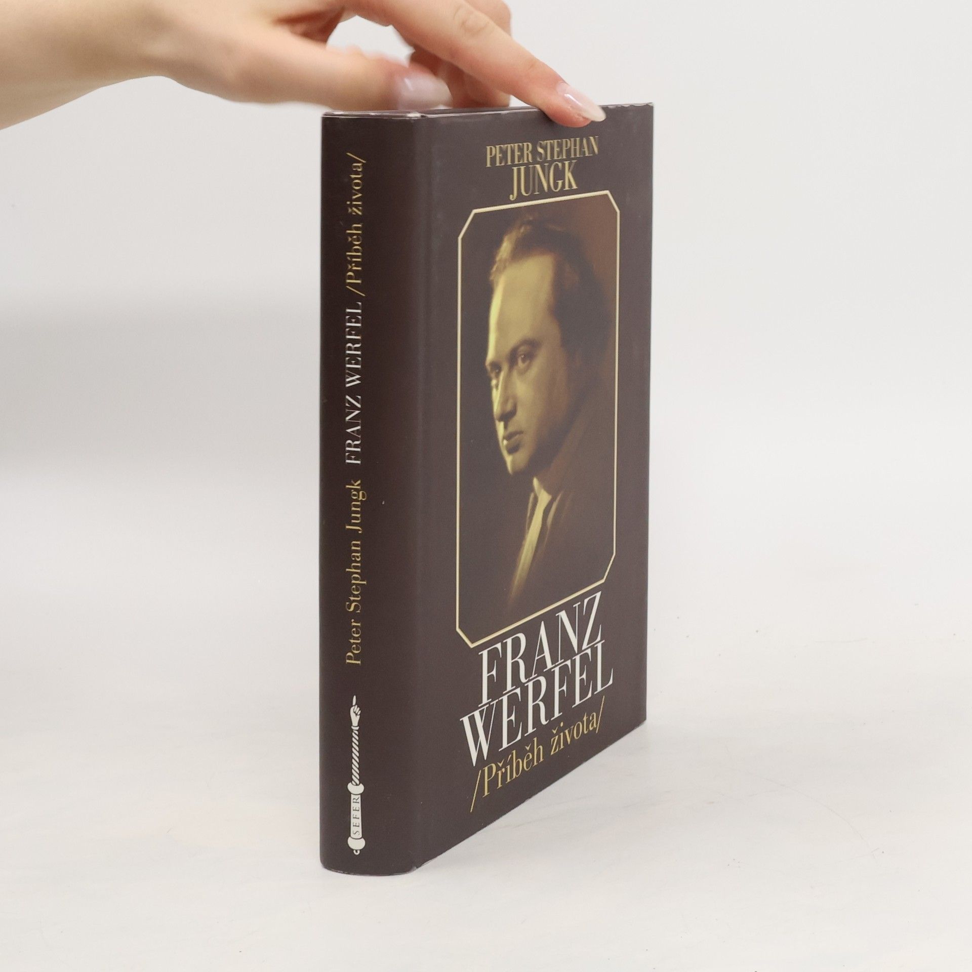 Peter Stephan Jungk Franz Werfel. Příběh života